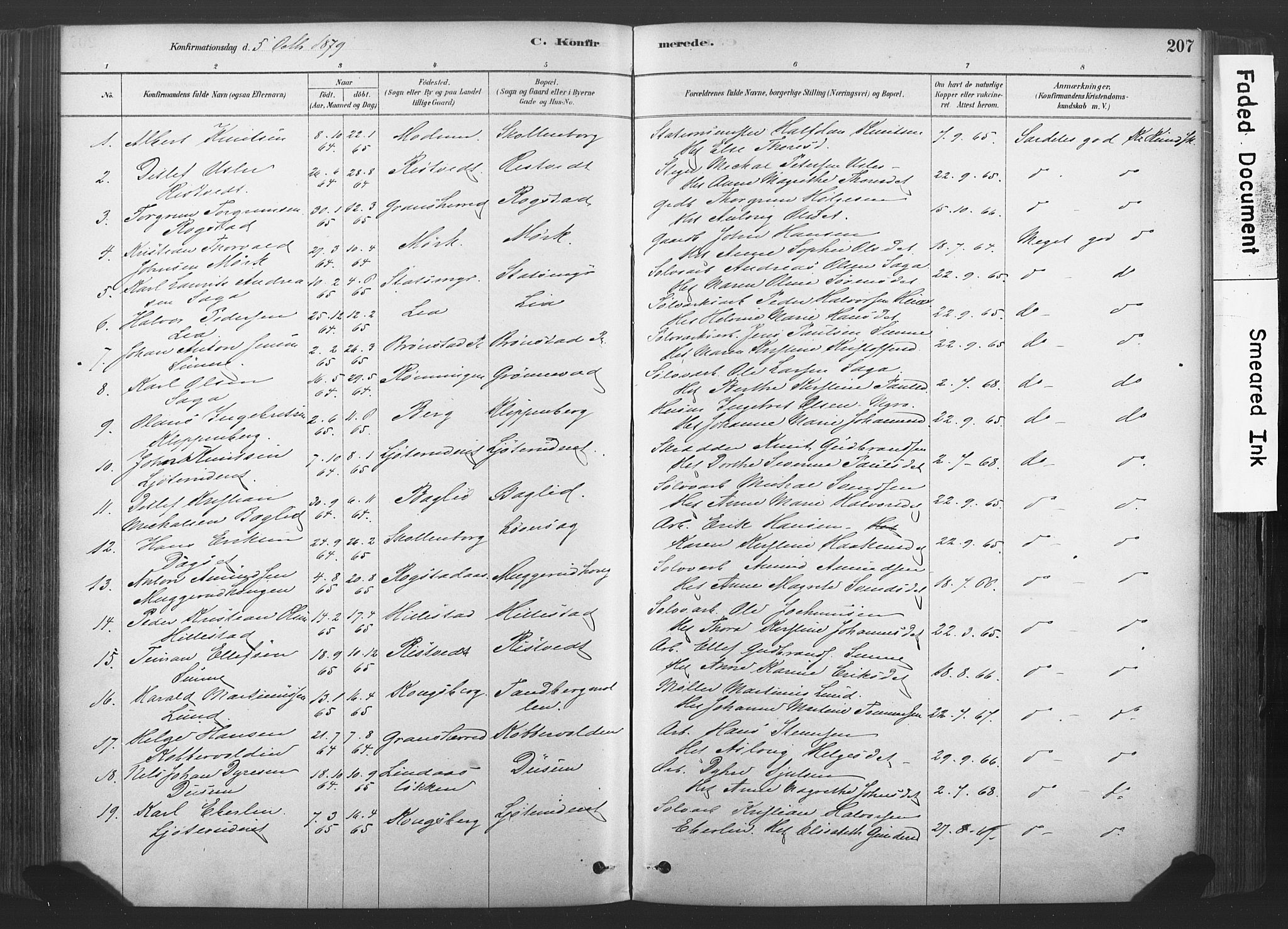 Sandsvær kirkebøker, AV/SAKO-A-244/F/Fd/L0001: Parish register (official) no. IV 1, 1878-1906, p. 207