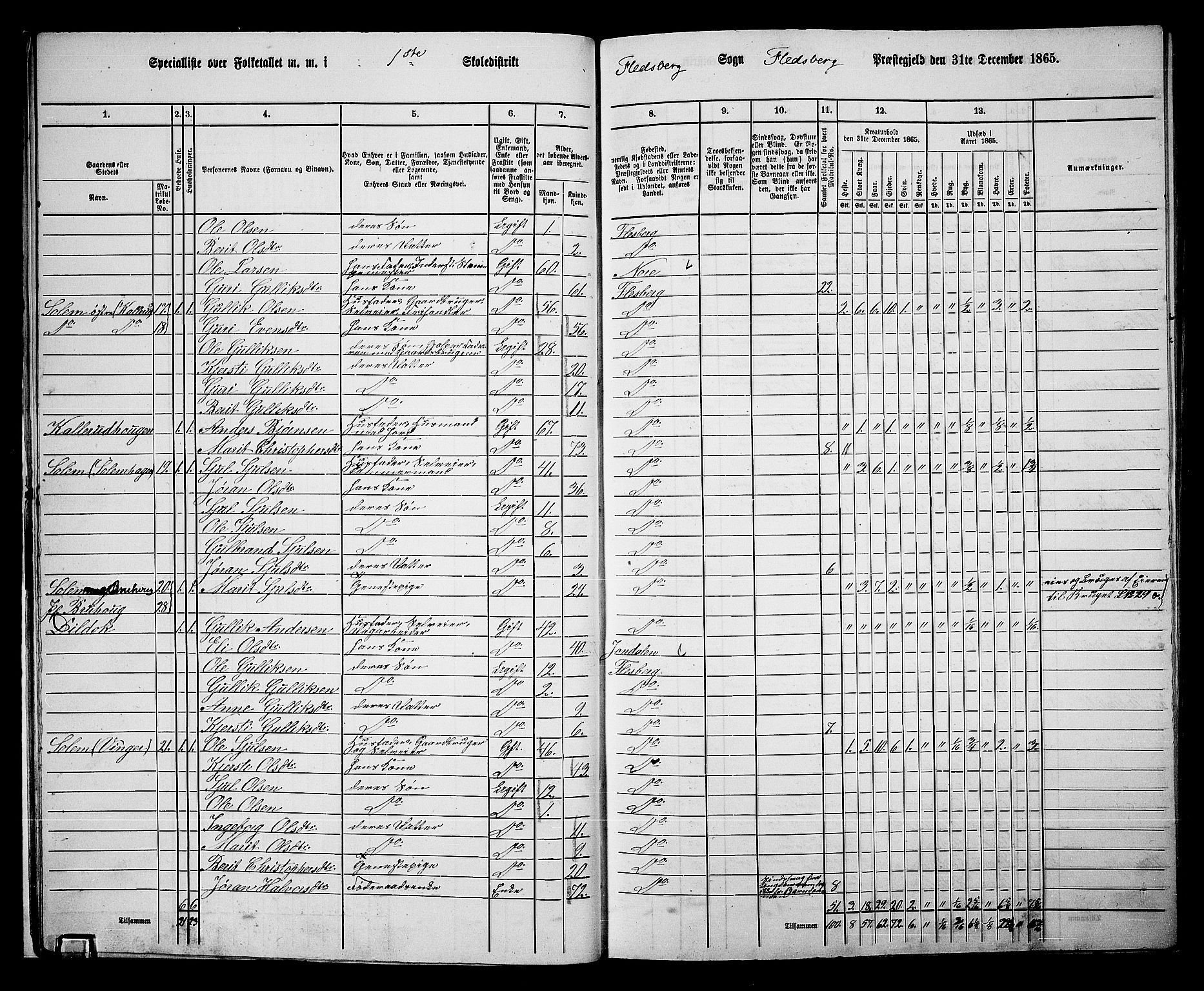 RA, 1865 census for Flesberg, 1865, p. 16