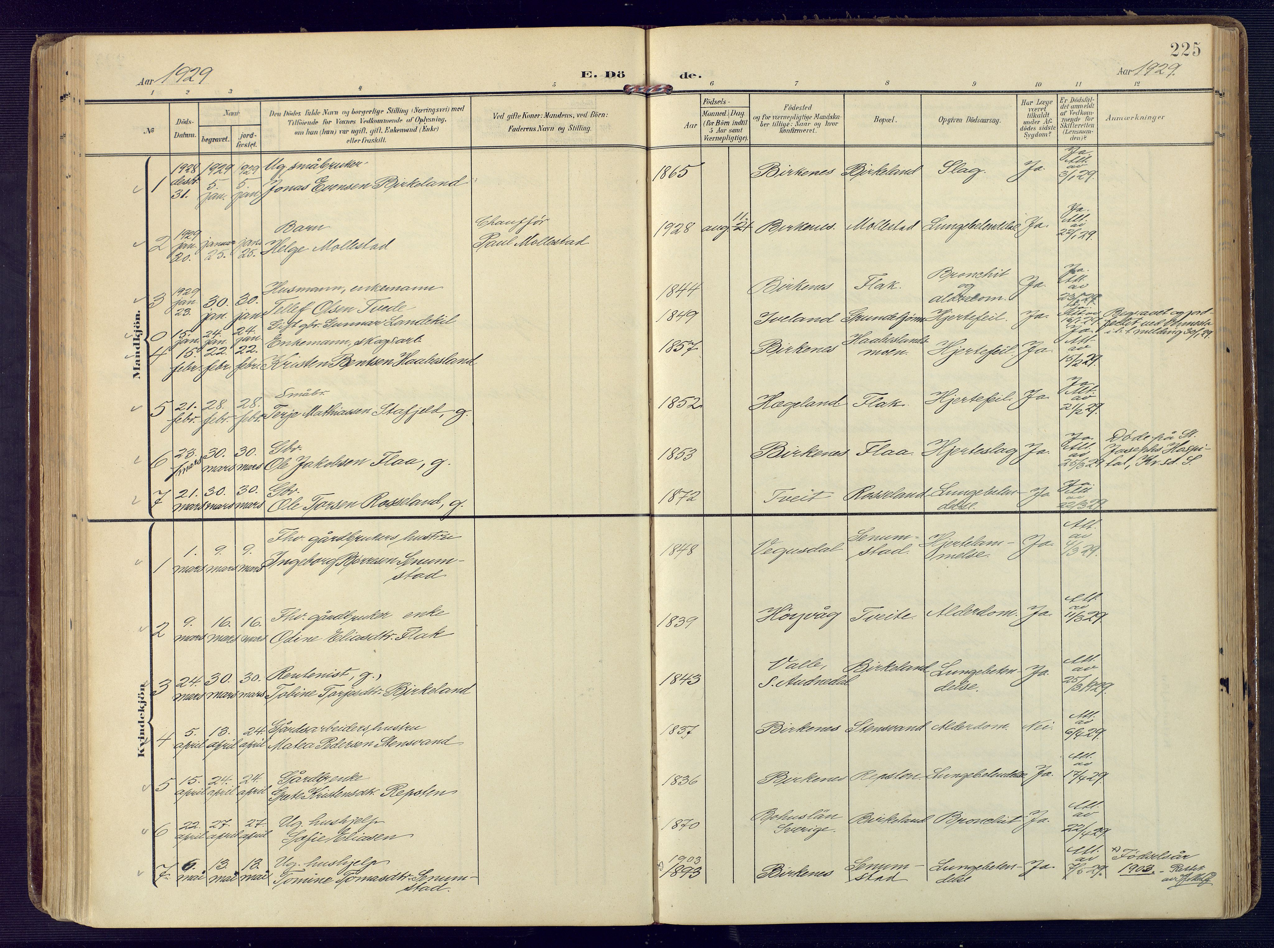 Birkenes sokneprestkontor, SAK/1111-0004/F/Fa/L0006: Parish register (official) no. A 6, 1908-1932, p. 225