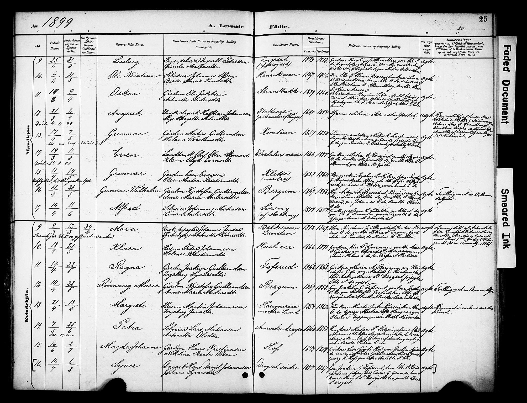 Biri prestekontor, SAH/PREST-096/H/Ha/Haa/L0008: Parish register (official) no. 8, 1894-1901, p. 25