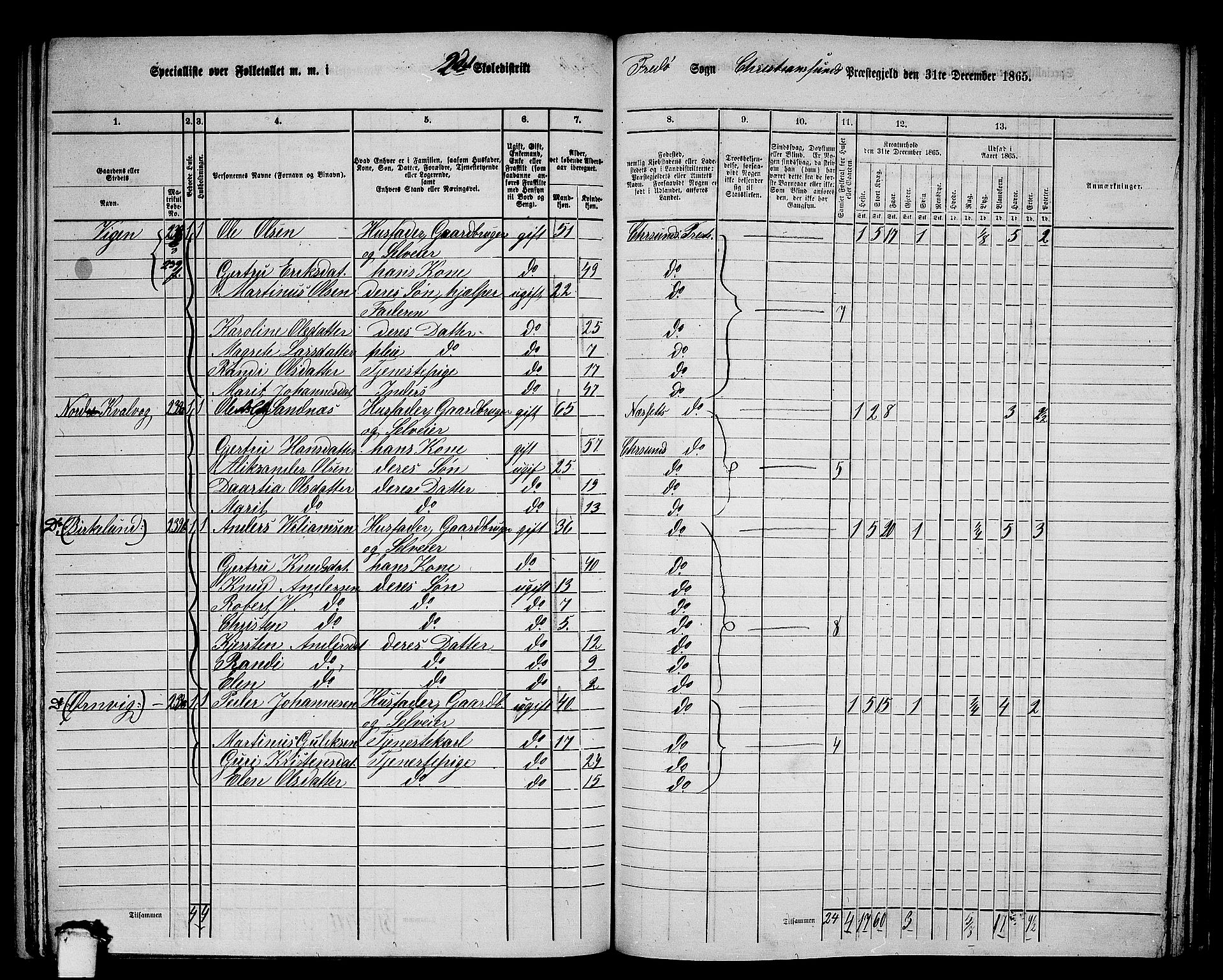 RA, 1865 census for Kristiansund/Frei og Grip, 1865, p. 31