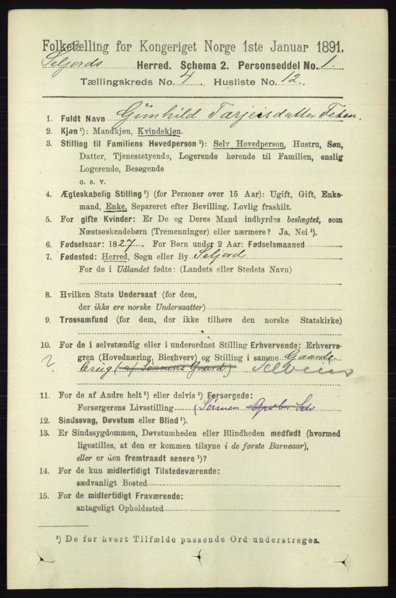 RA, 1891 census for 0828 Seljord, 1891, p. 1352