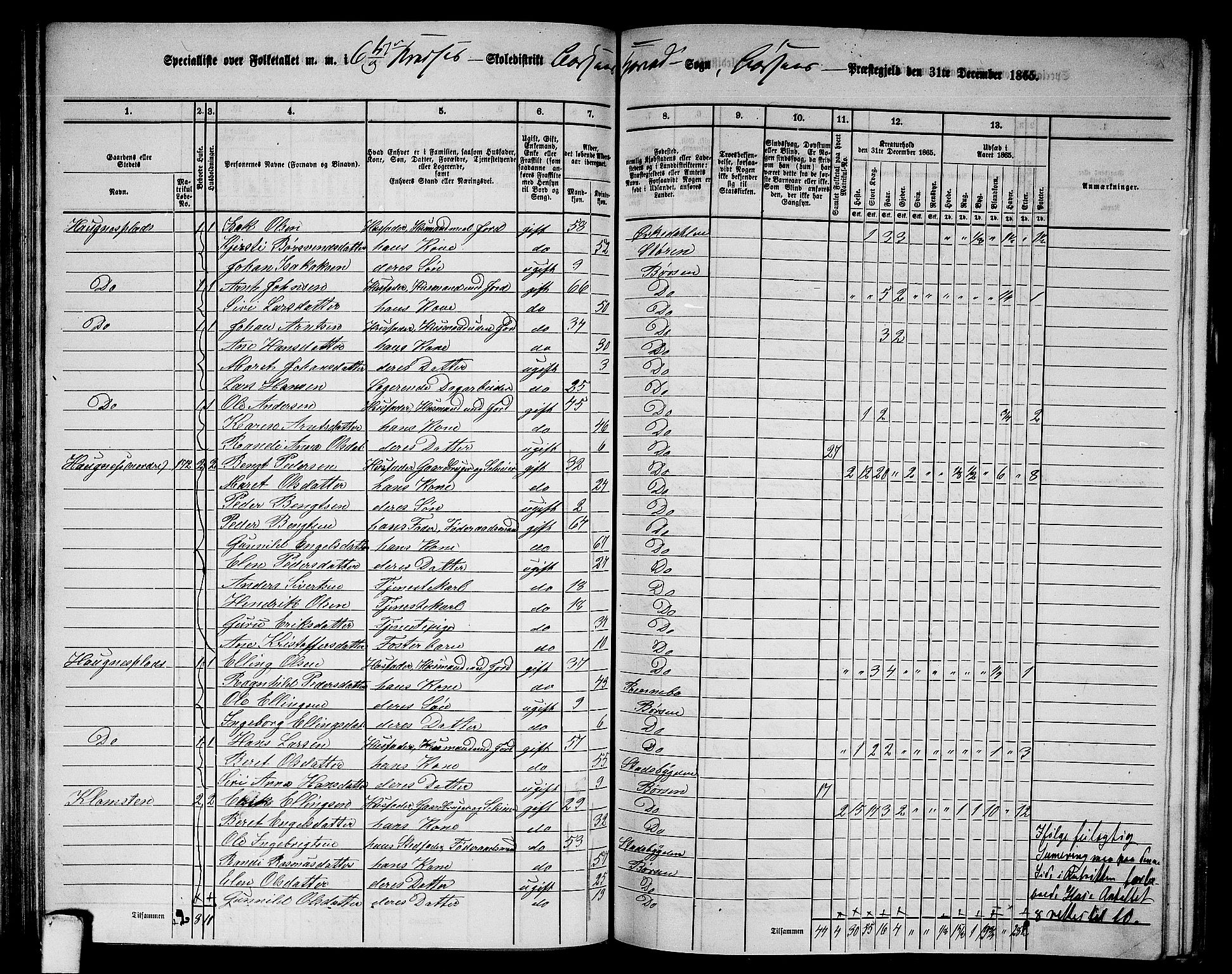 RA, 1865 census for Børsa, 1865, p. 96