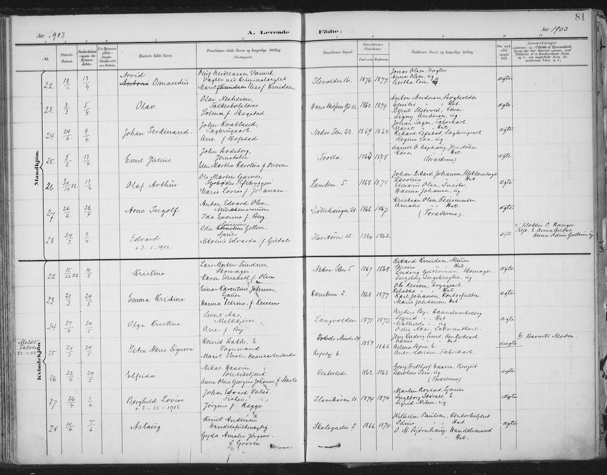 Ministerialprotokoller, klokkerbøker og fødselsregistre - Sør-Trøndelag, AV/SAT-A-1456/603/L0167: Parish register (official) no. 603A06, 1896-1932, p. 81