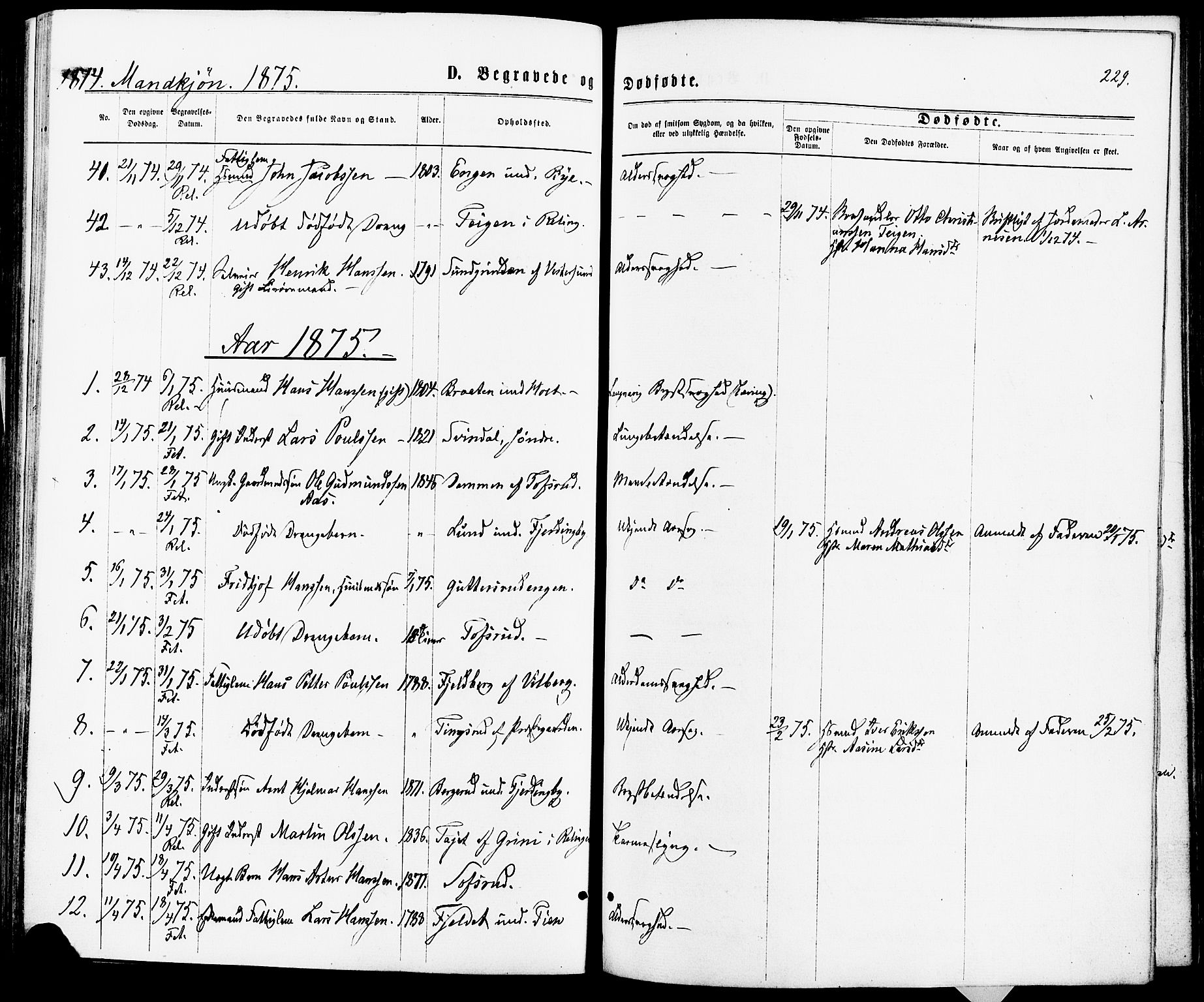 Fet prestekontor Kirkebøker, AV/SAO-A-10370a/F/Fa/L0013: Parish register (official) no. I 13, 1867-1877, p. 229