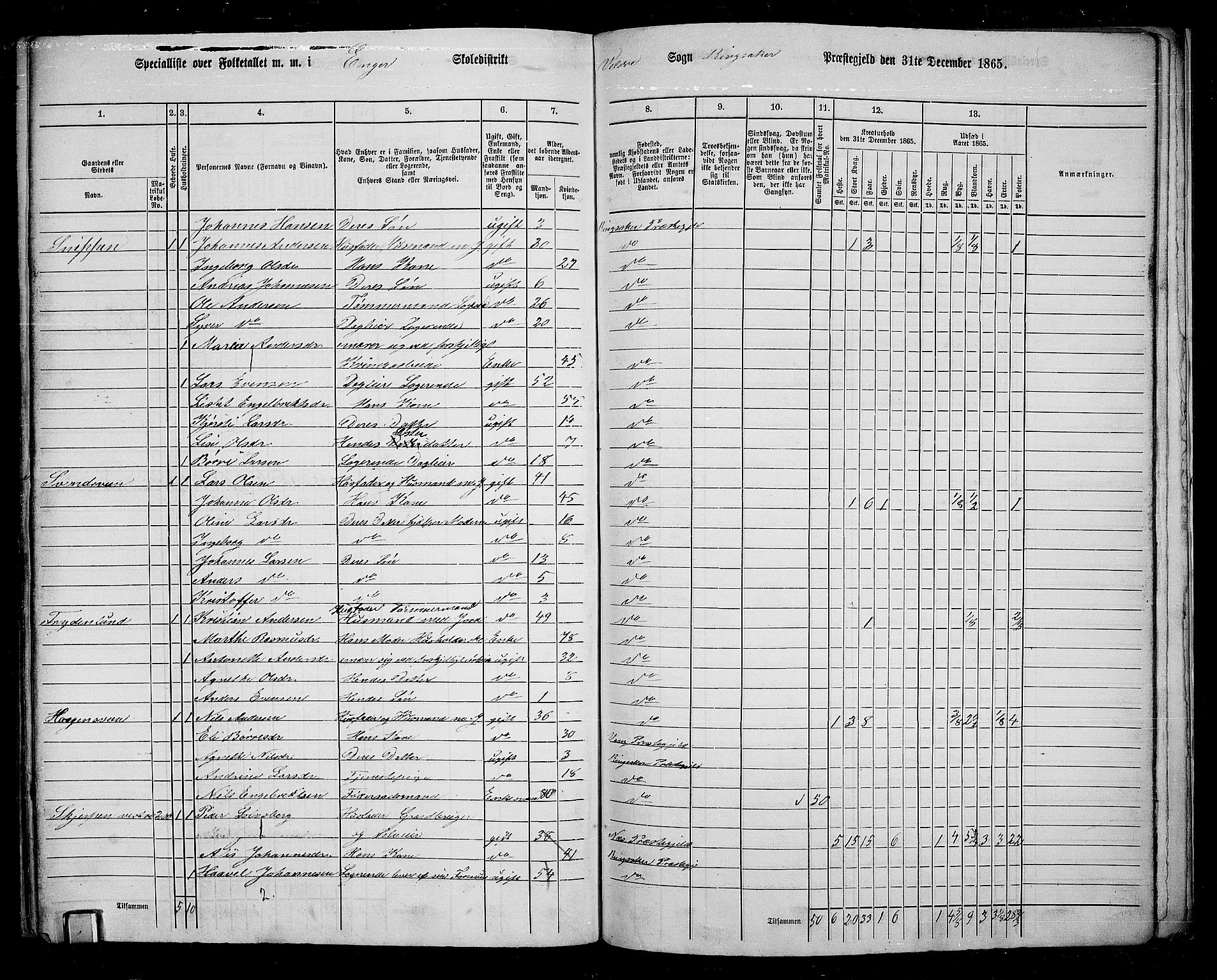 RA, 1865 census for Ringsaker, 1865, p. 248