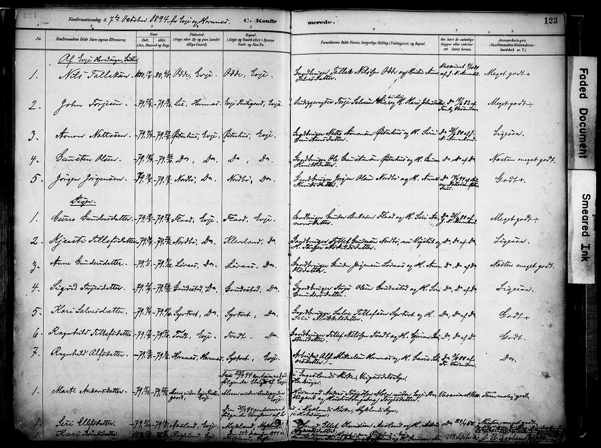 Evje sokneprestkontor, AV/SAK-1111-0008/F/Fa/Faa/L0007: Parish register (official) no. A 7, 1884-1909, p. 123