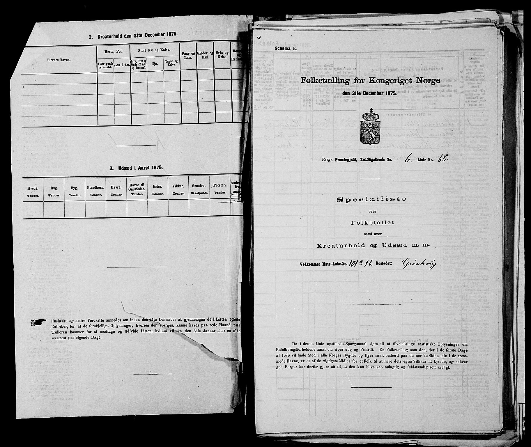 RA, 1875 census for 0116P Berg, 1875, p. 871