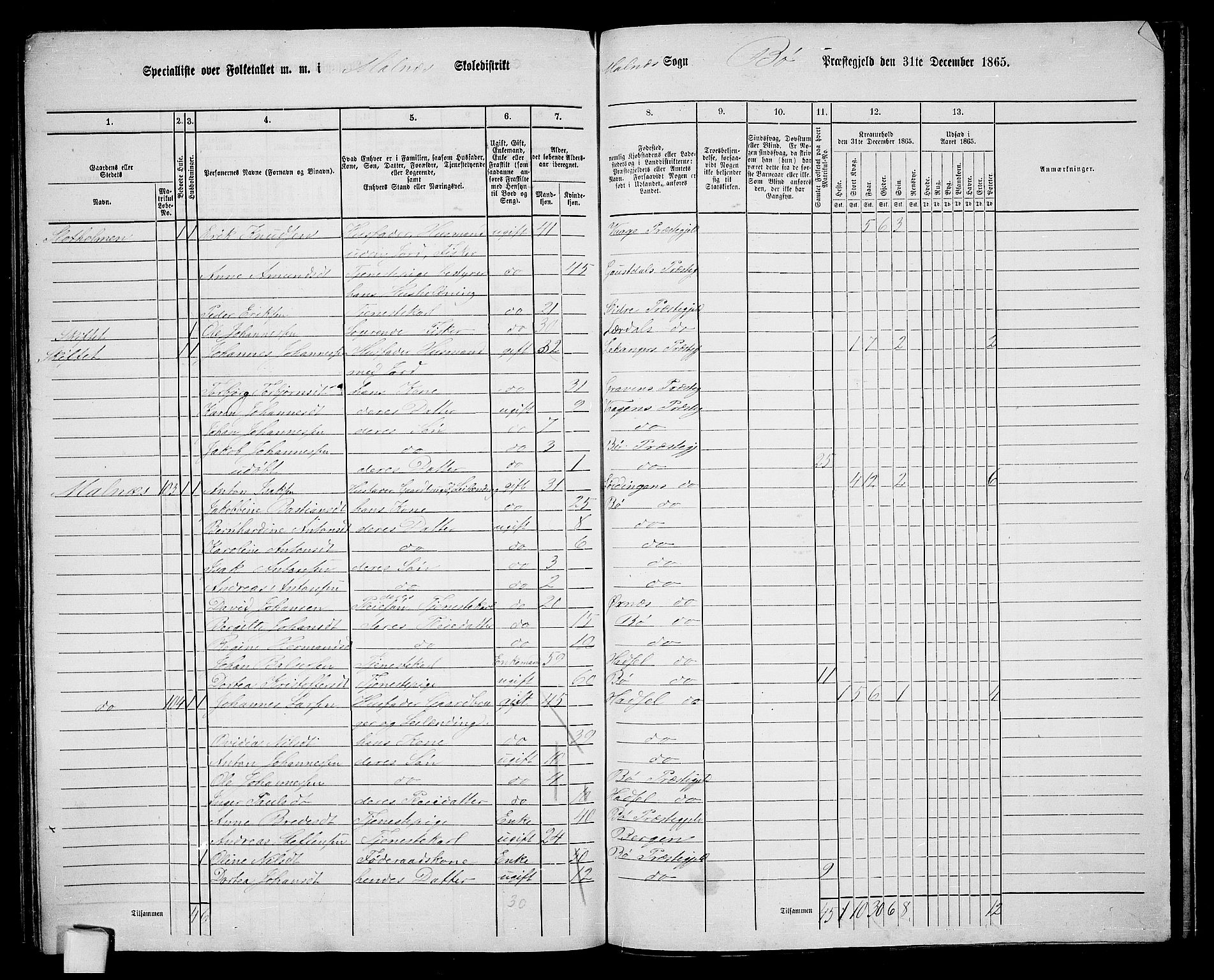 RA, 1865 census for Bø, 1865, p. 62