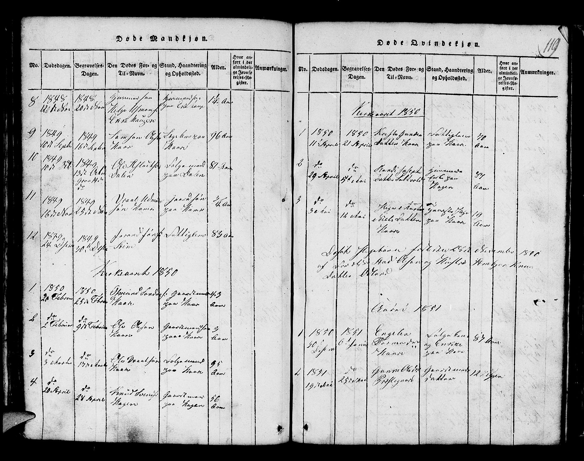 Røldal sokneprestembete, SAB/A-100247: Parish register (copy) no. A 1, 1817-1860, p. 119