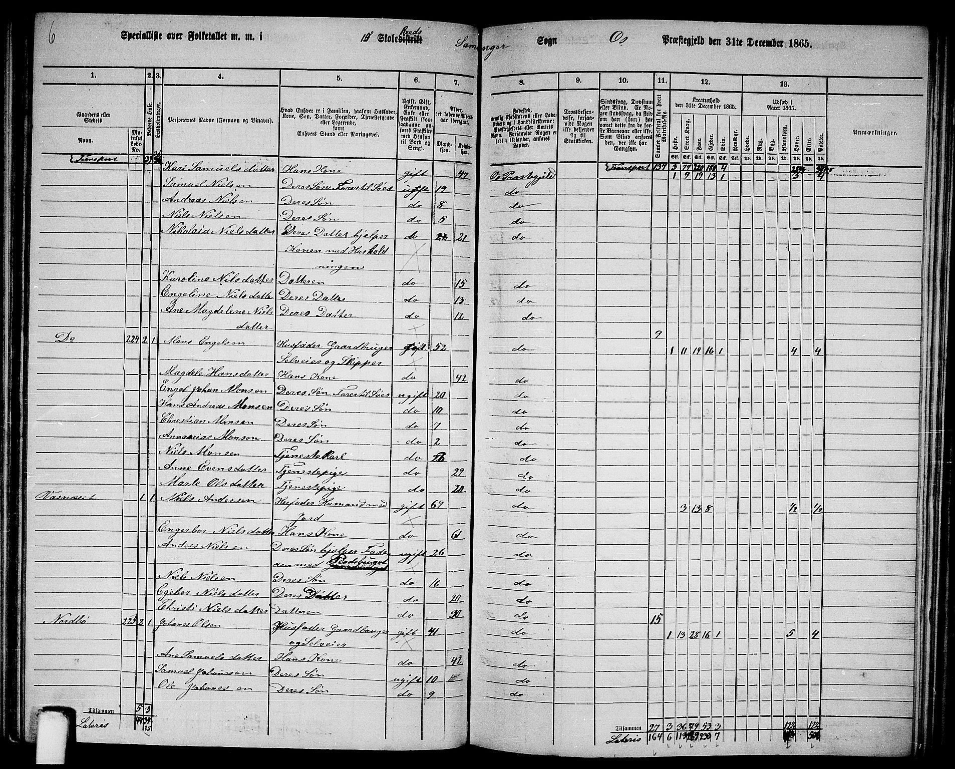 RA, 1865 census for Os, 1865, p. 104