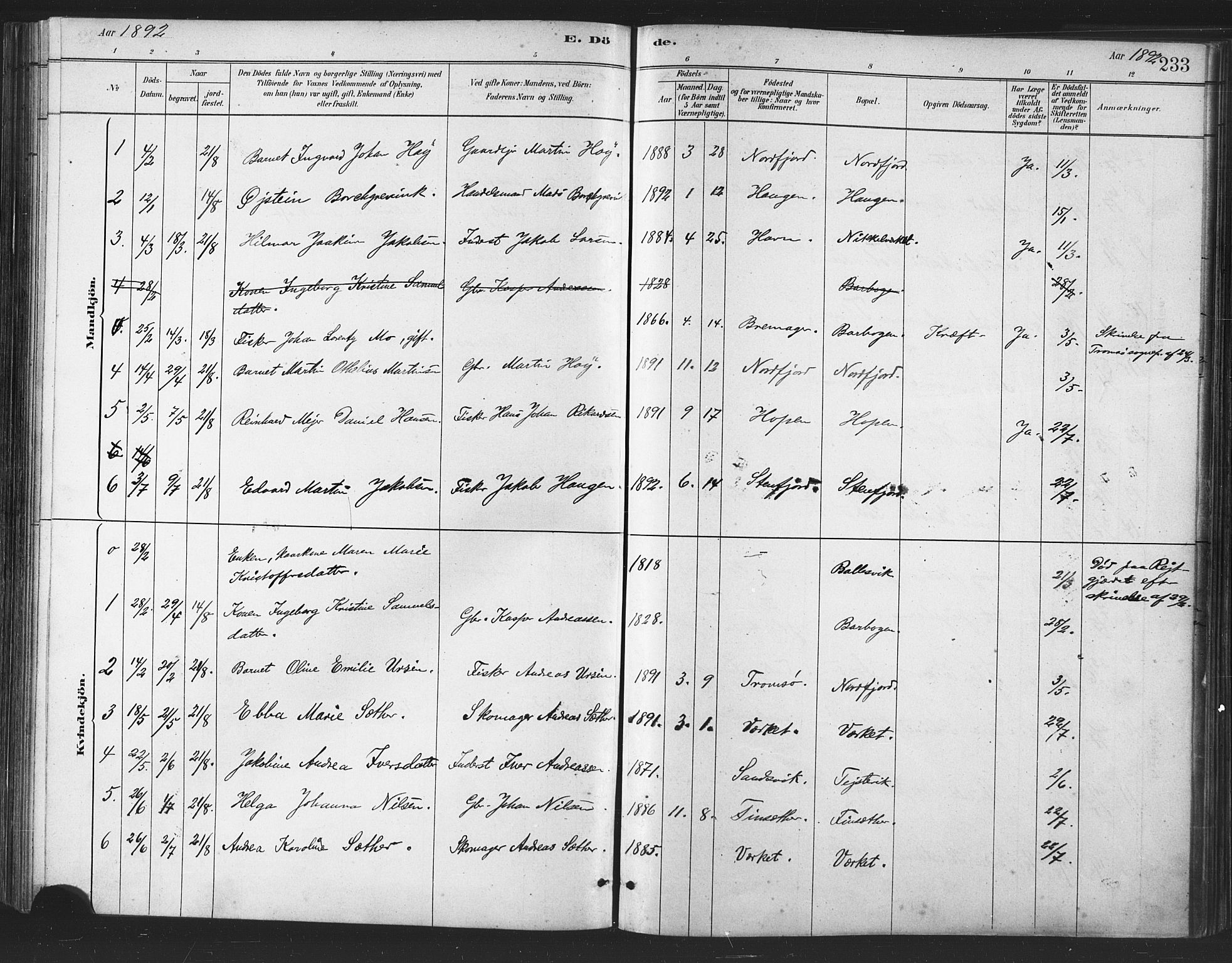 Berg sokneprestkontor, SATØ/S-1318/G/Ga/Gaa/L0004kirke: Parish register (official) no. 4, 1880-1894, p. 233