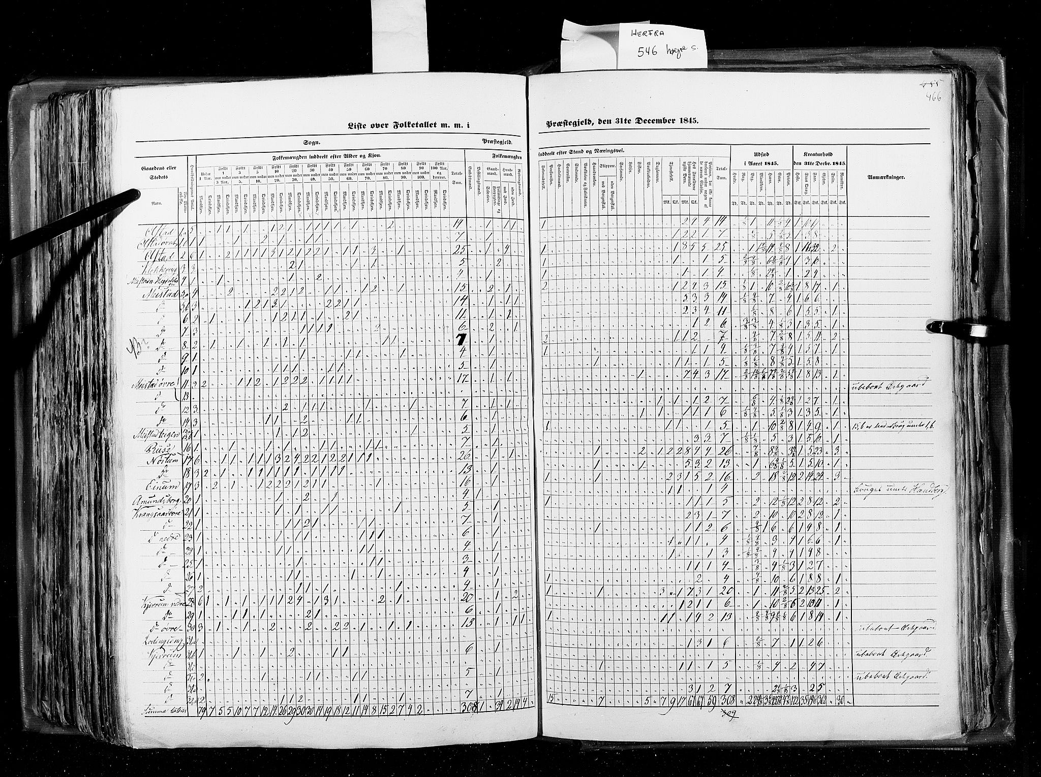 RA, Census 1845, vol. 8: Romsdal amt og Søndre Trondhjems amt, 1845, p. 466