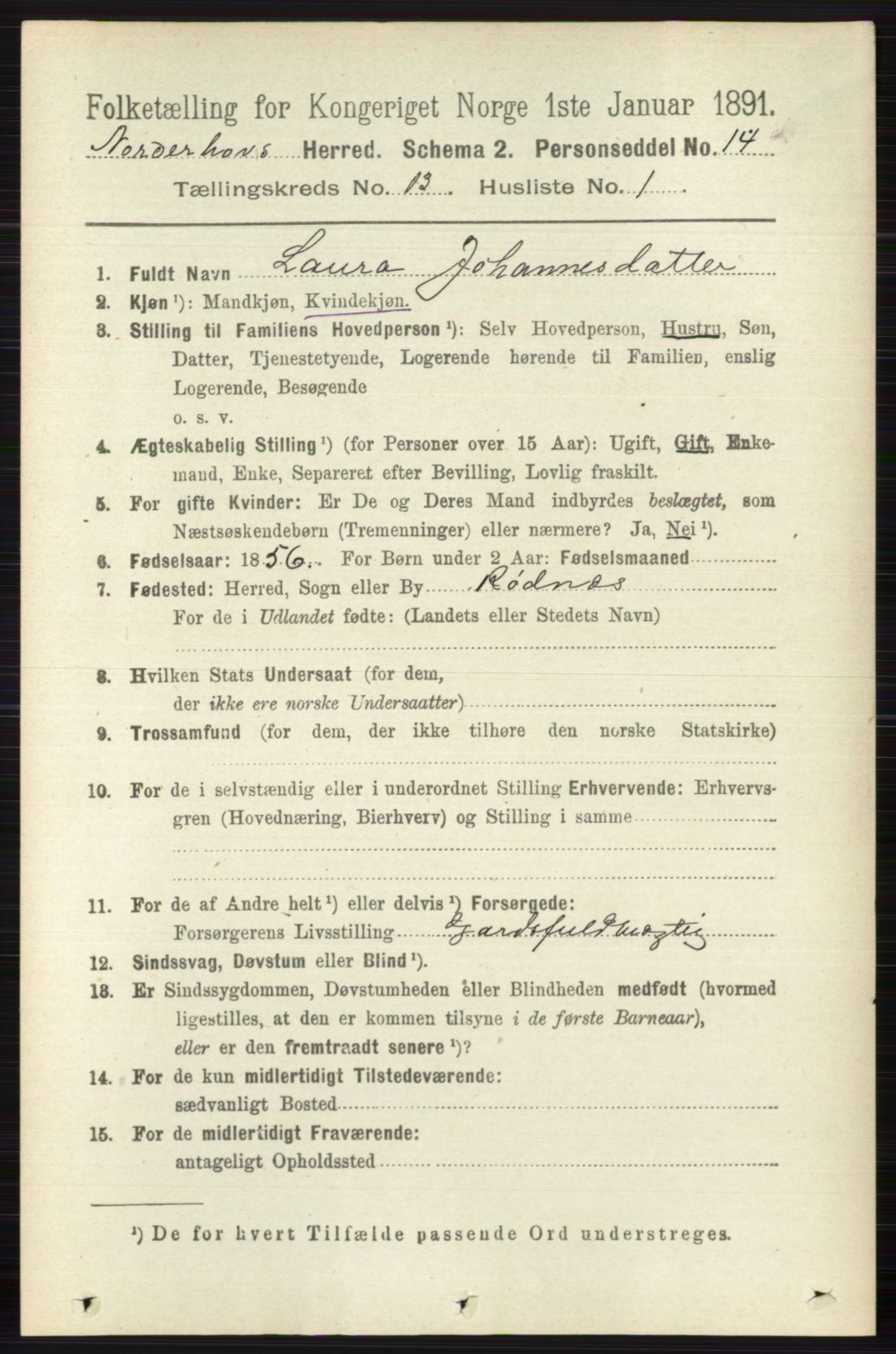 RA, 1891 census for 0613 Norderhov, 1891, p. 8893