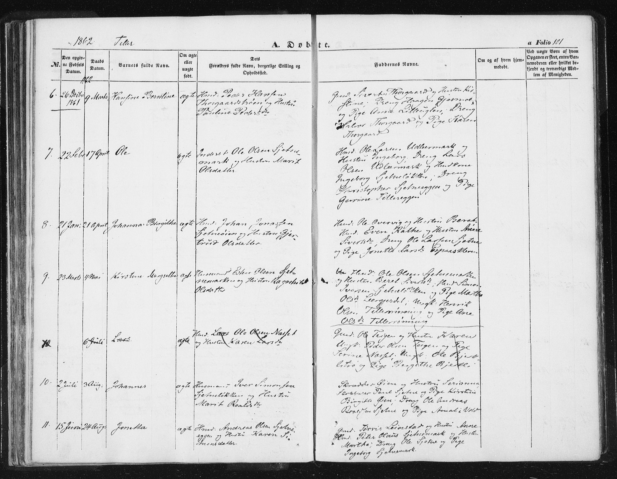 Ministerialprotokoller, klokkerbøker og fødselsregistre - Sør-Trøndelag, AV/SAT-A-1456/618/L0441: Parish register (official) no. 618A05, 1843-1862, p. 101