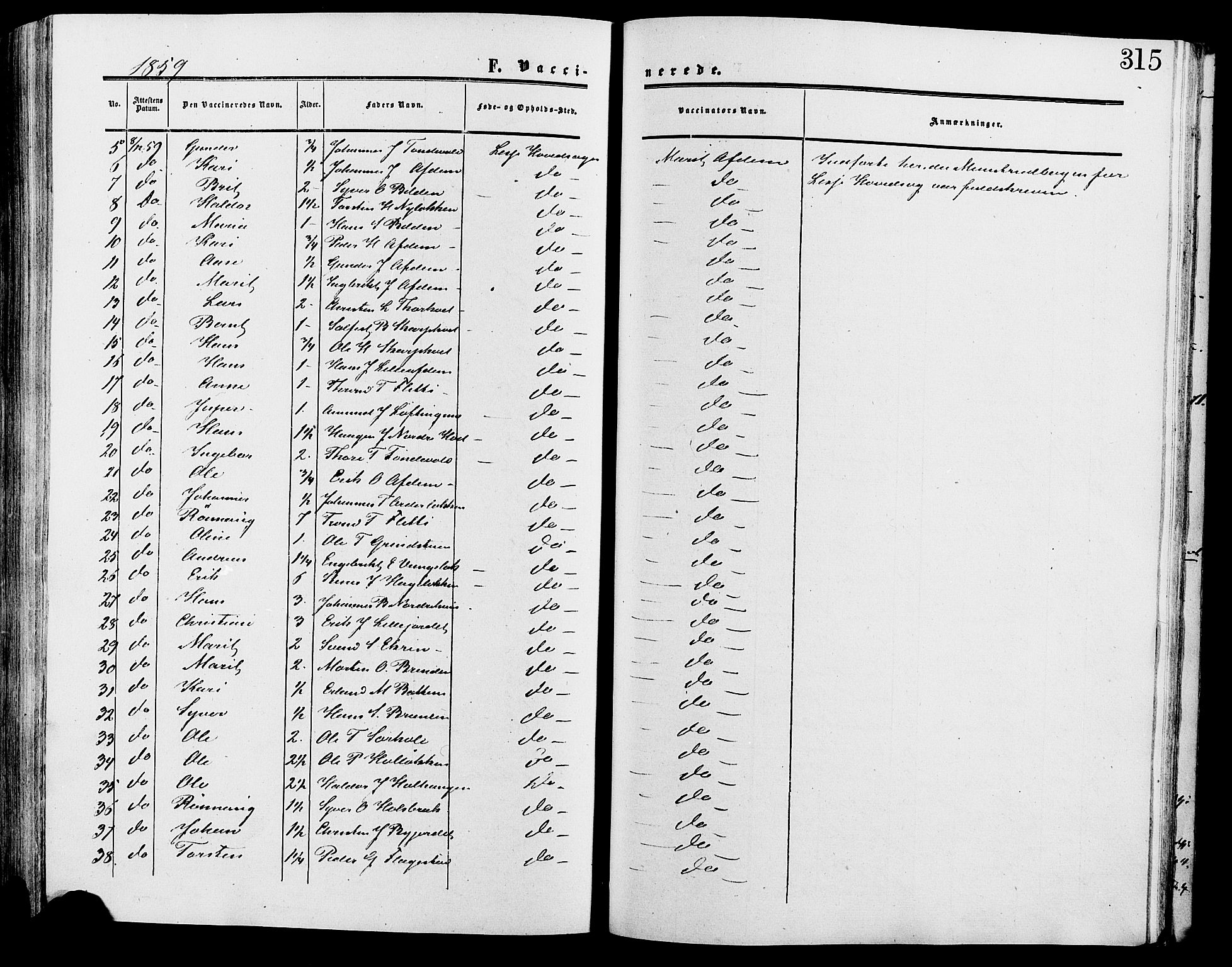 Lesja prestekontor, SAH/PREST-068/H/Ha/Haa/L0009: Parish register (official) no. 9, 1854-1889, p. 315