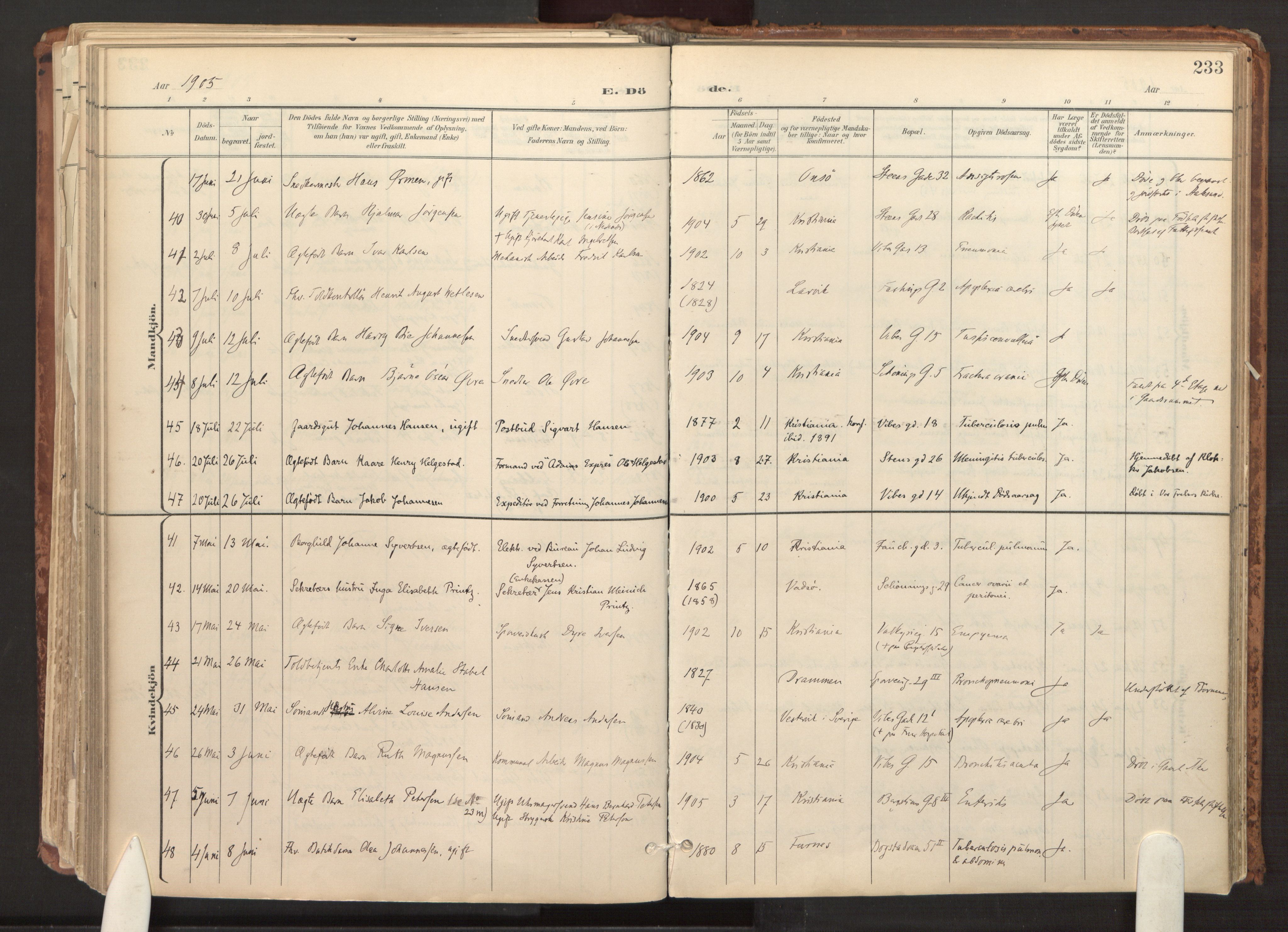 Fagerborg prestekontor Kirkebøker, SAO/A-10844/F/Fa/L0003: Parish register (official) no. 3, 1898-1916, p. 233