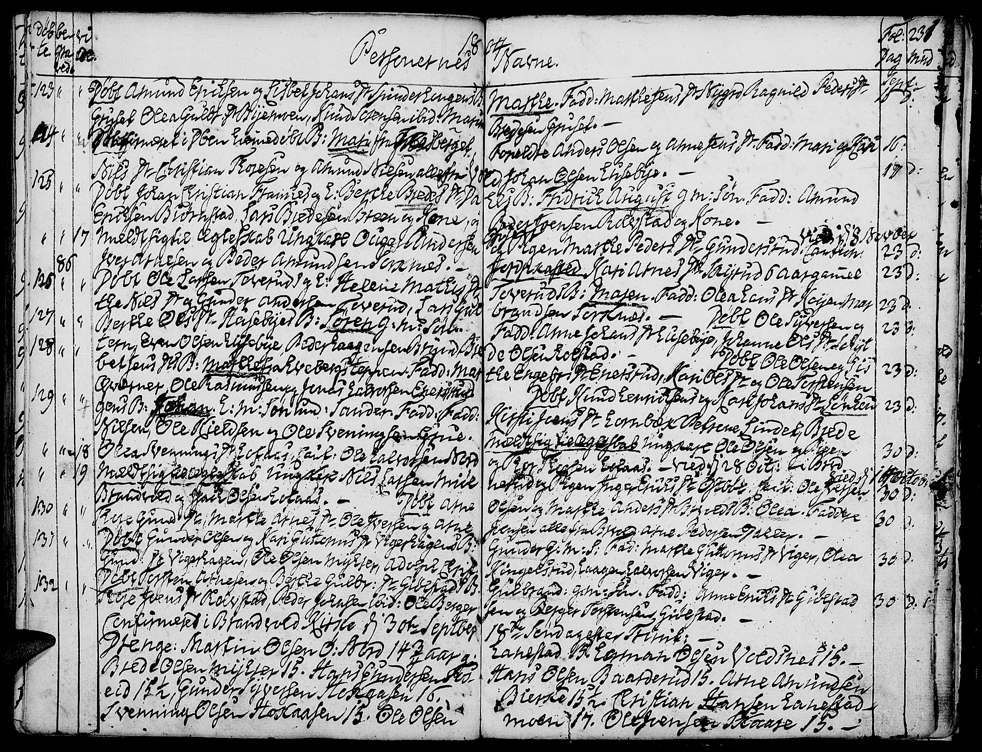 Grue prestekontor, AV/SAH-PREST-036/H/Ha/Haa/L0004: Parish register (official) no. 4, 1792-1805, p. 231