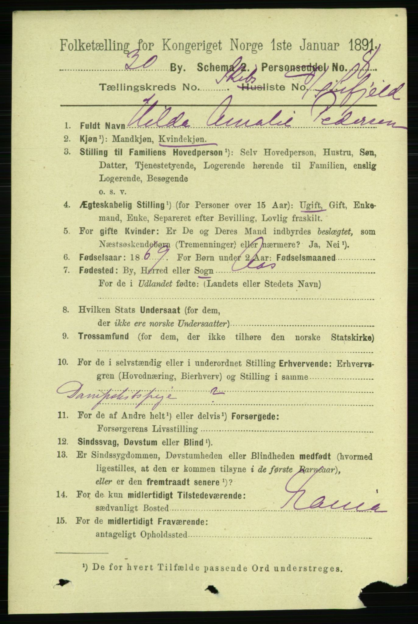 RA, 1891 census for 0806 Skien, 1891, p. 11517