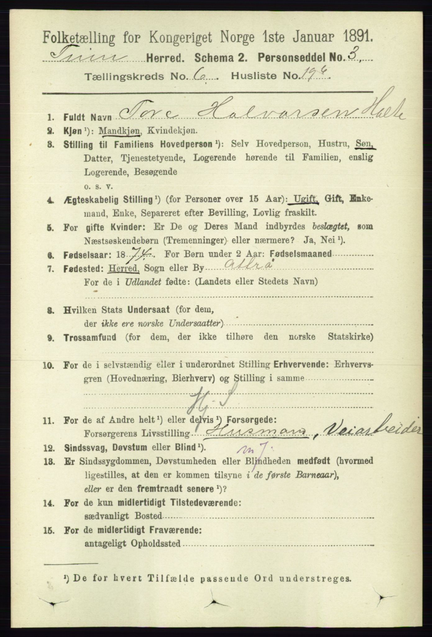 RA, 1891 census for 0826 Tinn, 1891, p. 1338
