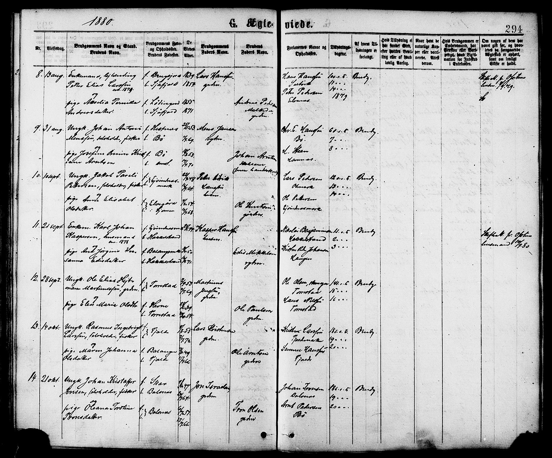 Ministerialprotokoller, klokkerbøker og fødselsregistre - Nordland, SAT/A-1459/863/L0897: Parish register (official) no. 863A09, 1872-1886, p. 294