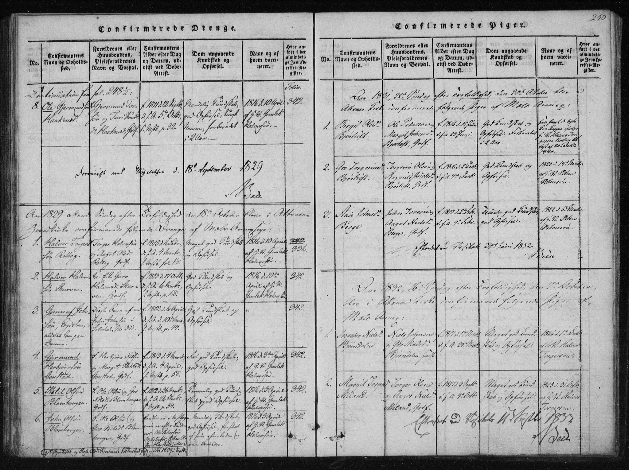 Tinn kirkebøker, SAKO/A-308/F/Fb/L0001: Parish register (official) no. II 1, 1815-1843, p. 250