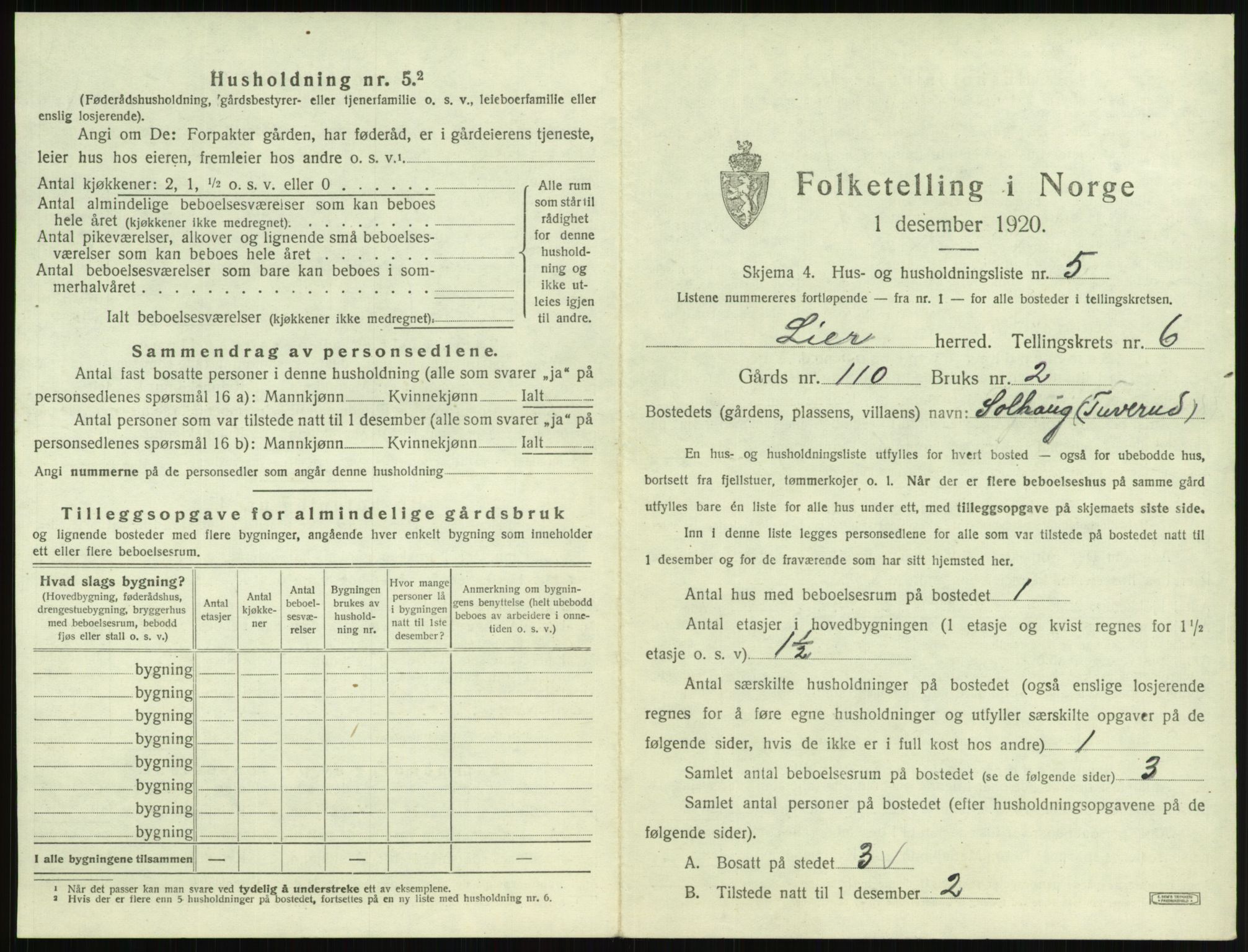 SAKO, 1920 census for Lier, 1920, p. 848