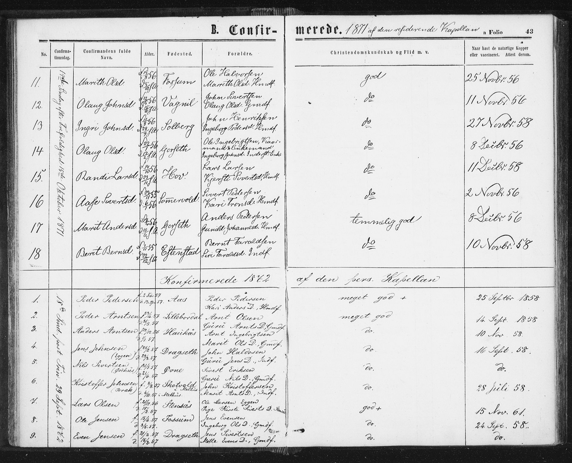 Ministerialprotokoller, klokkerbøker og fødselsregistre - Sør-Trøndelag, AV/SAT-A-1456/689/L1039: Parish register (official) no. 689A04, 1865-1878, p. 43