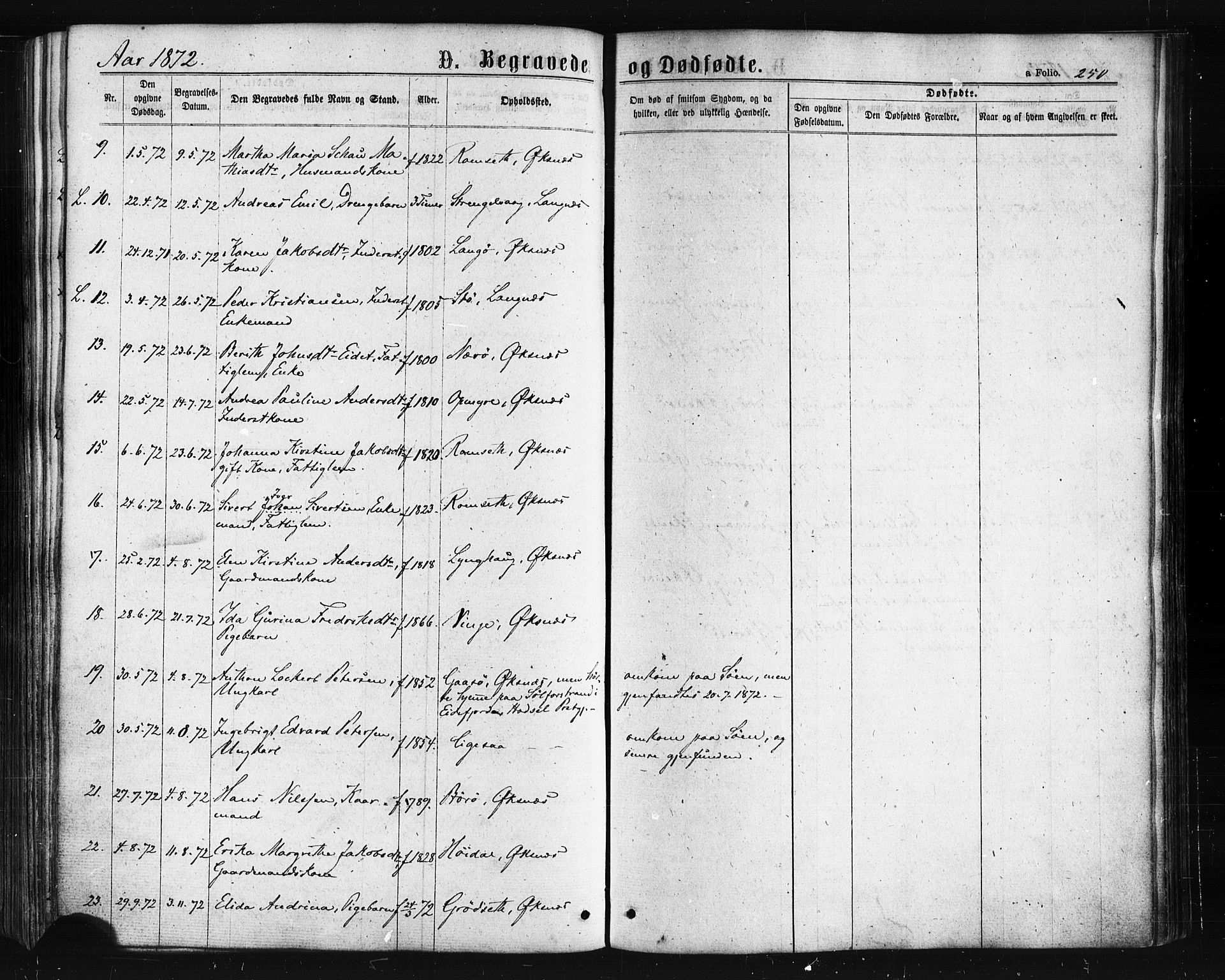 Ministerialprotokoller, klokkerbøker og fødselsregistre - Nordland, AV/SAT-A-1459/893/L1334: Parish register (official) no. 893A07, 1867-1877, p. 250