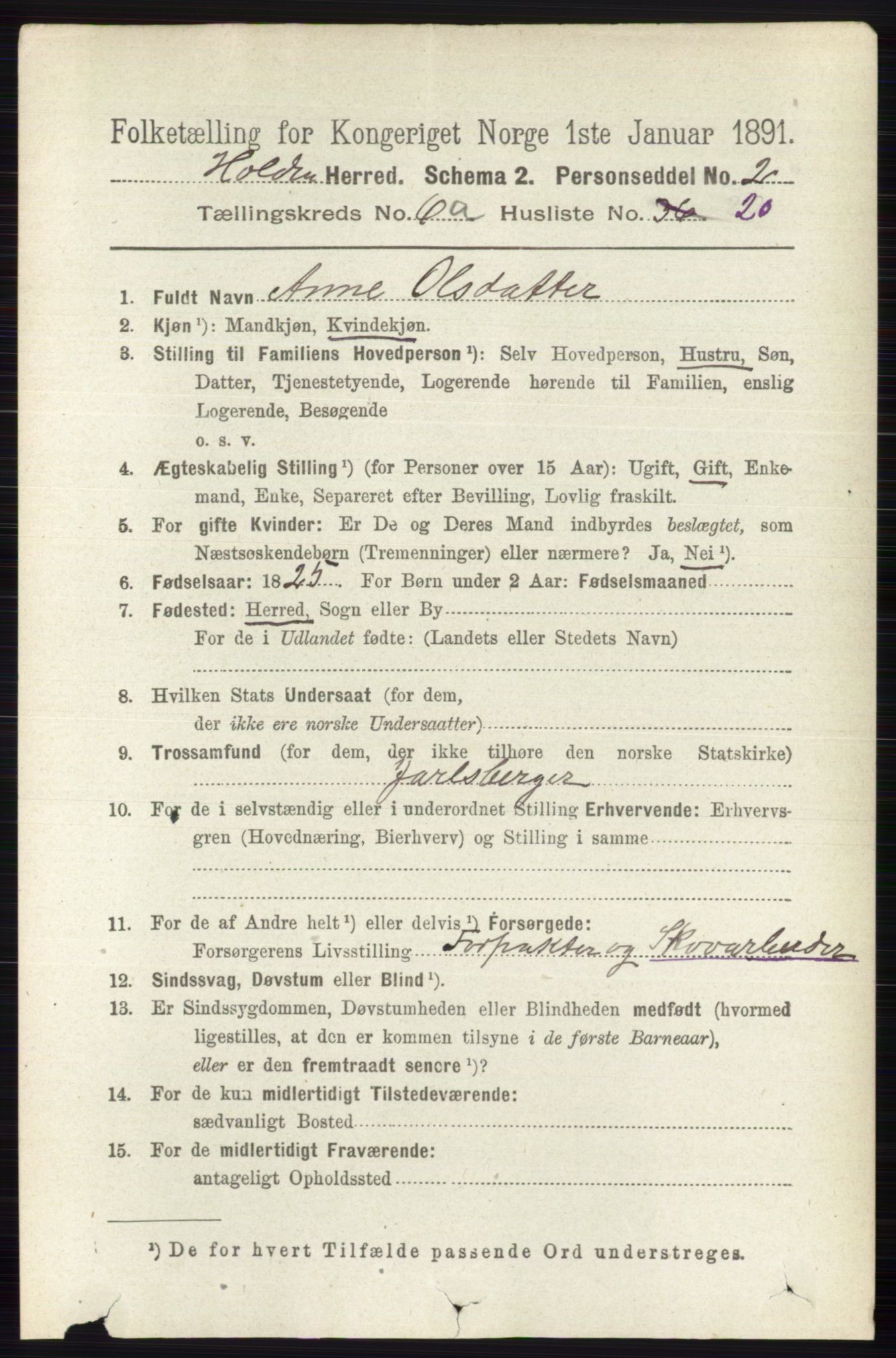 RA, 1891 census for 0819 Holla, 1891, p. 2979