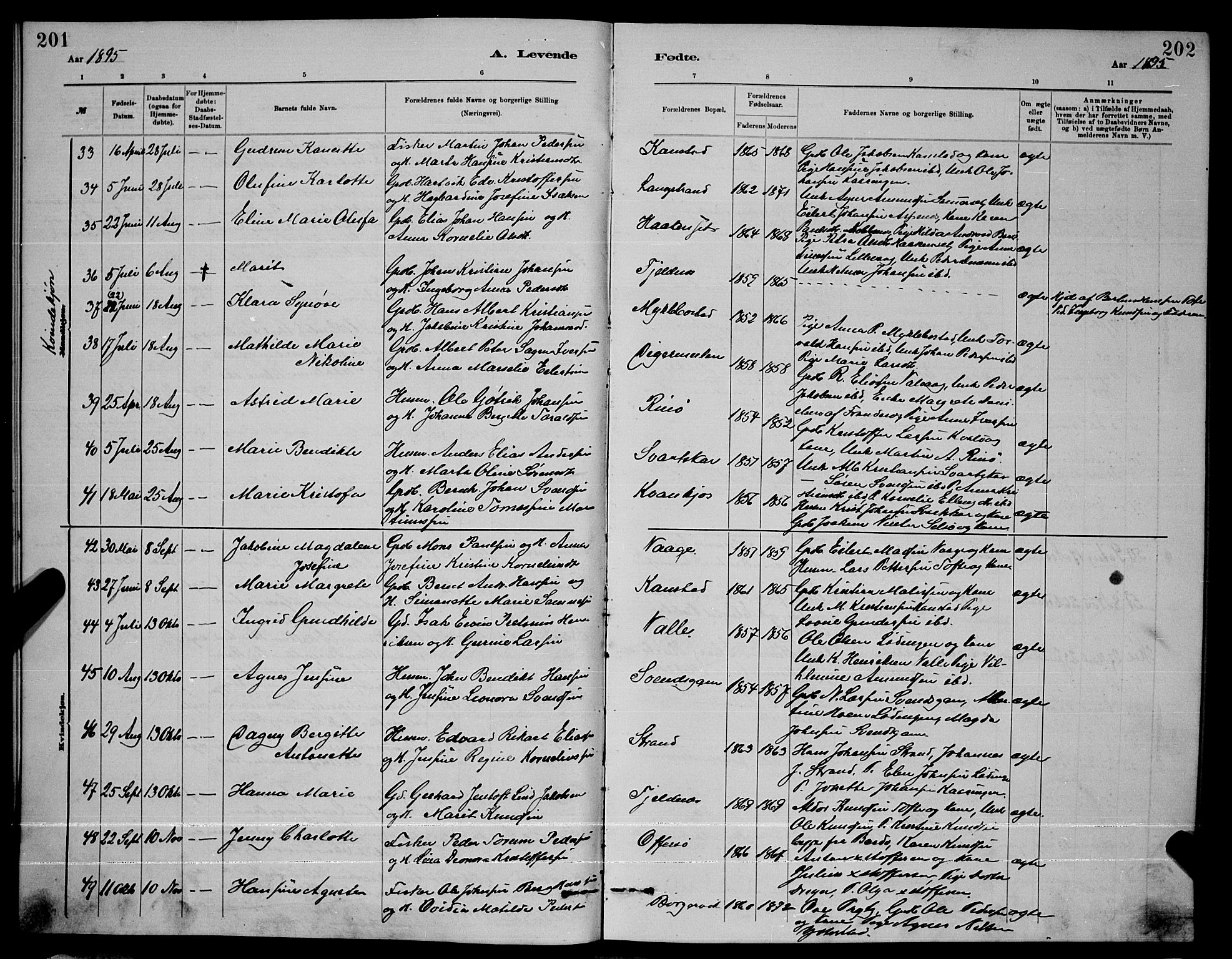 Ministerialprotokoller, klokkerbøker og fødselsregistre - Nordland, AV/SAT-A-1459/872/L1047: Parish register (copy) no. 872C03, 1880-1897, p. 201-202