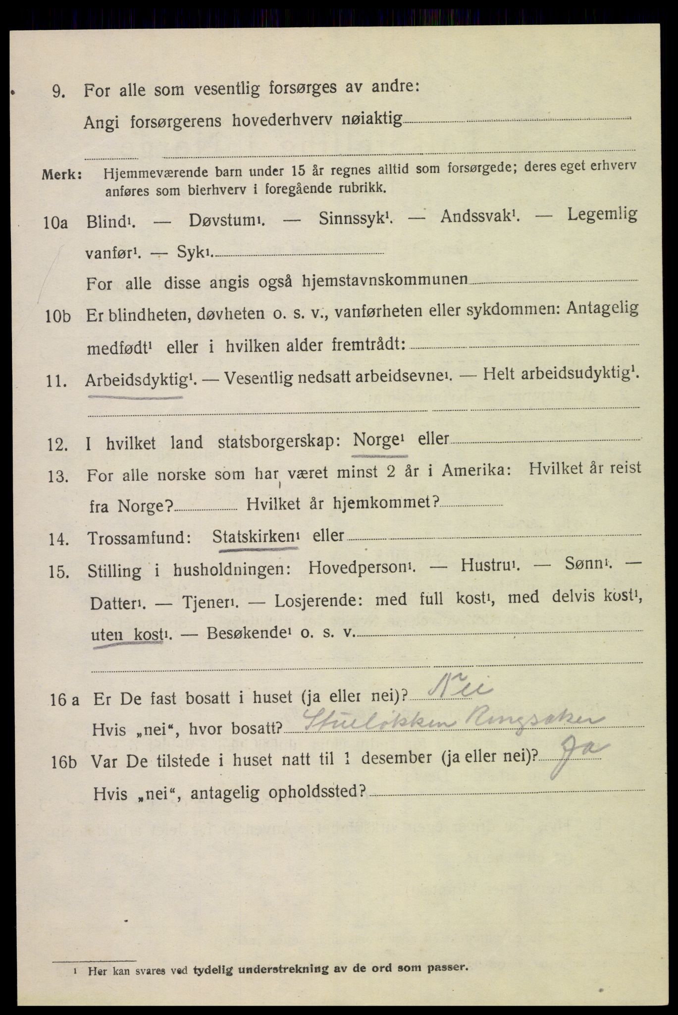 SAH, 1920 census for Ringsaker, 1920, p. 18319