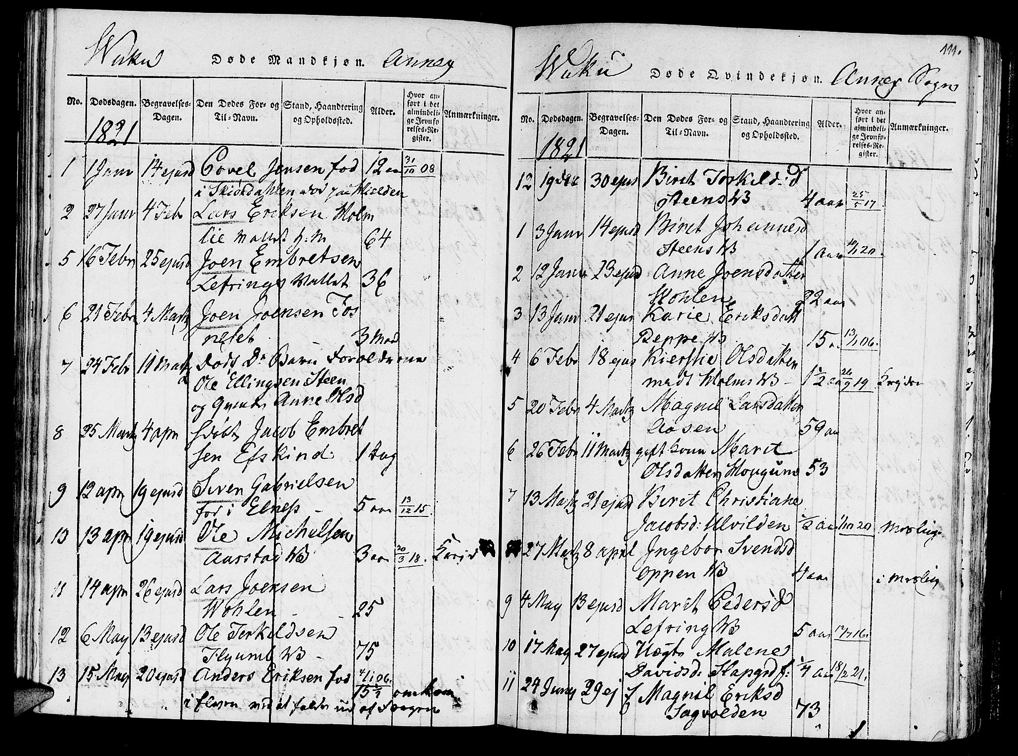 Ministerialprotokoller, klokkerbøker og fødselsregistre - Nord-Trøndelag, SAT/A-1458/723/L0234: Parish register (official) no. 723A05 /2, 1816-1821, p. 111