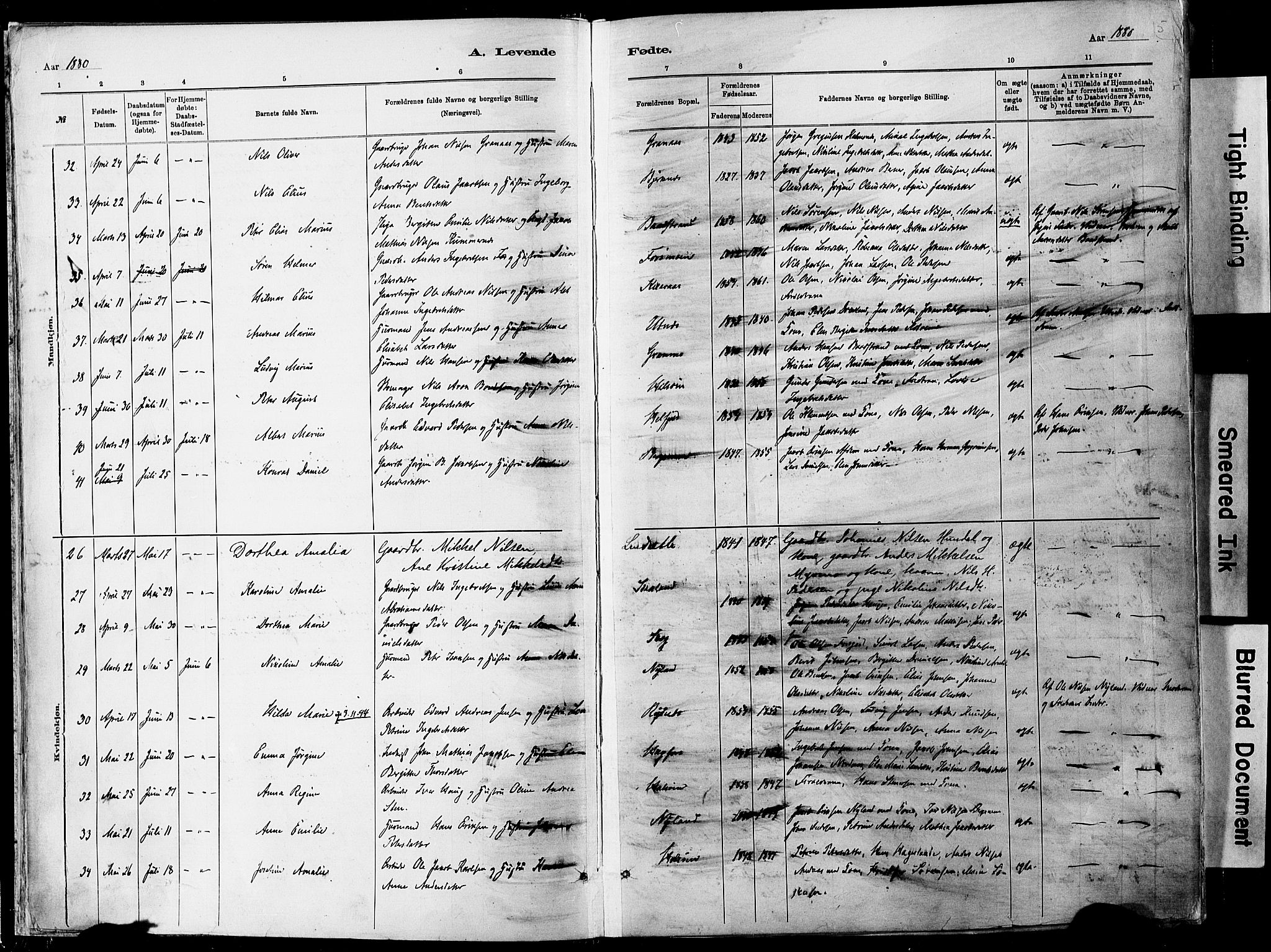 Ministerialprotokoller, klokkerbøker og fødselsregistre - Nordland, SAT/A-1459/820/L0295: Parish register (official) no. 820A16, 1880-1896, p. 5