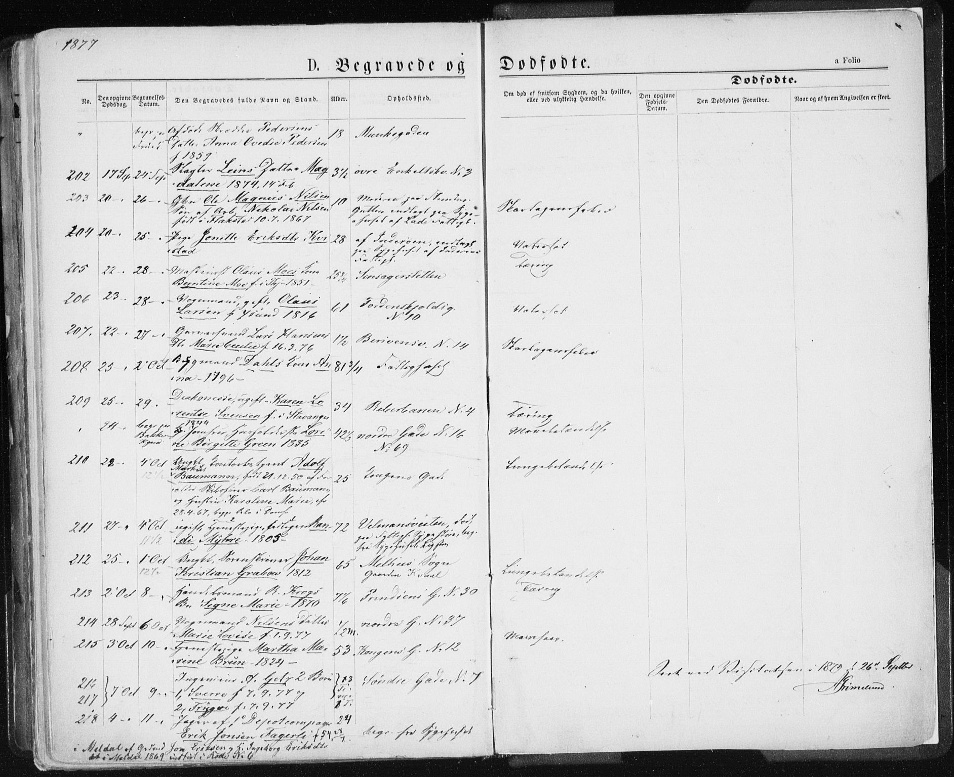 Ministerialprotokoller, klokkerbøker og fødselsregistre - Sør-Trøndelag, AV/SAT-A-1456/601/L0055: Parish register (official) no. 601A23, 1866-1877