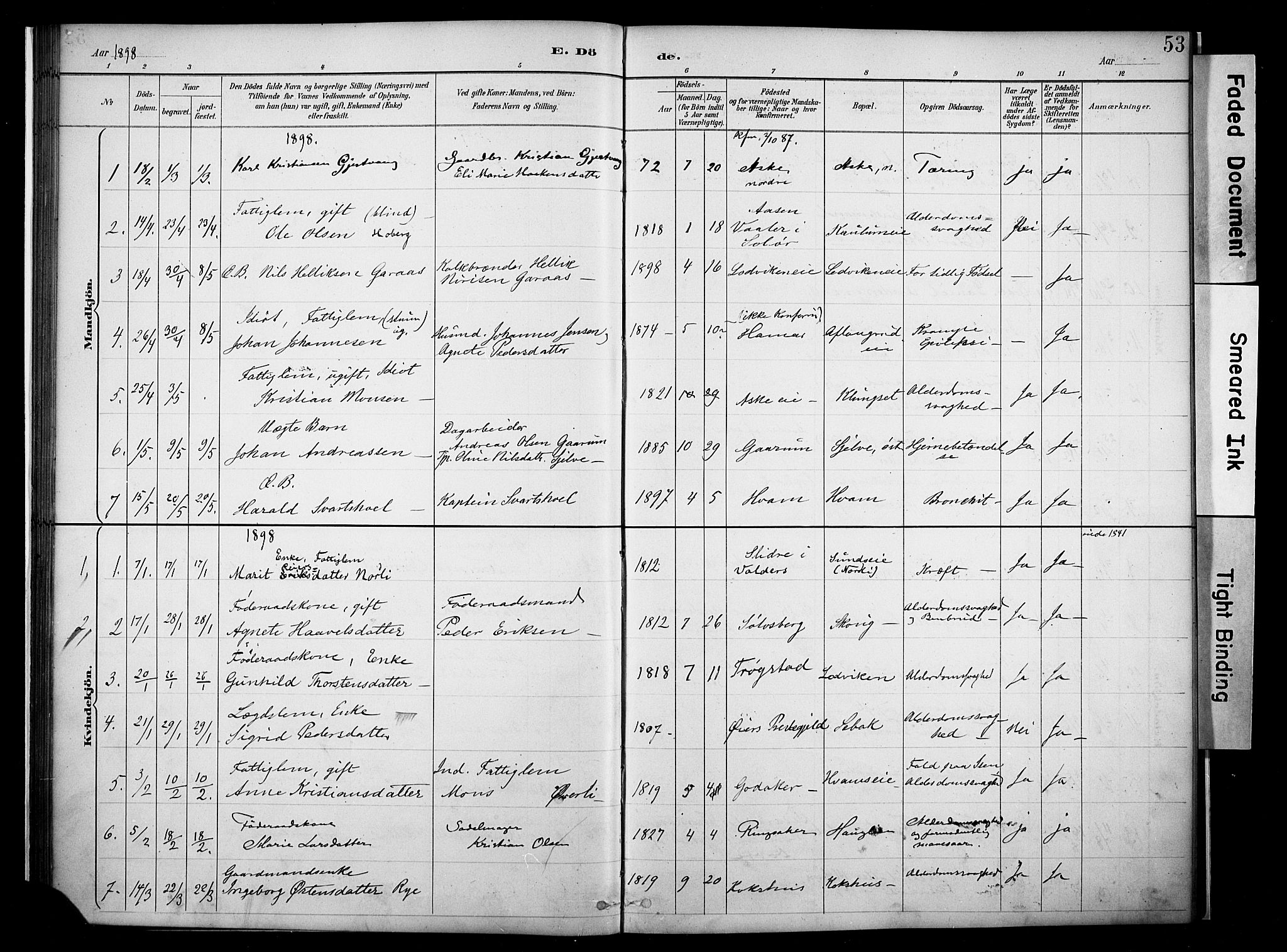 Nes prestekontor, Hedmark, SAH/PREST-020/K/Ka/L0011: Parish register (official) no. 11, 1887-1905, p. 53