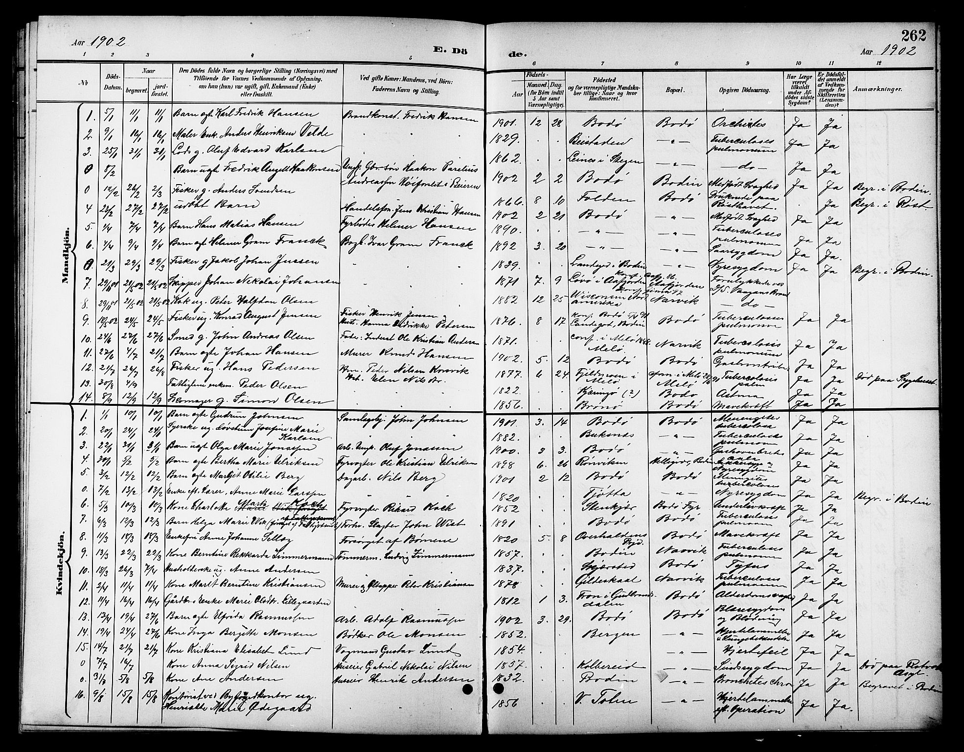 Ministerialprotokoller, klokkerbøker og fødselsregistre - Nordland, SAT/A-1459/801/L0033: Parish register (copy) no. 801C08, 1898-1910, p. 262