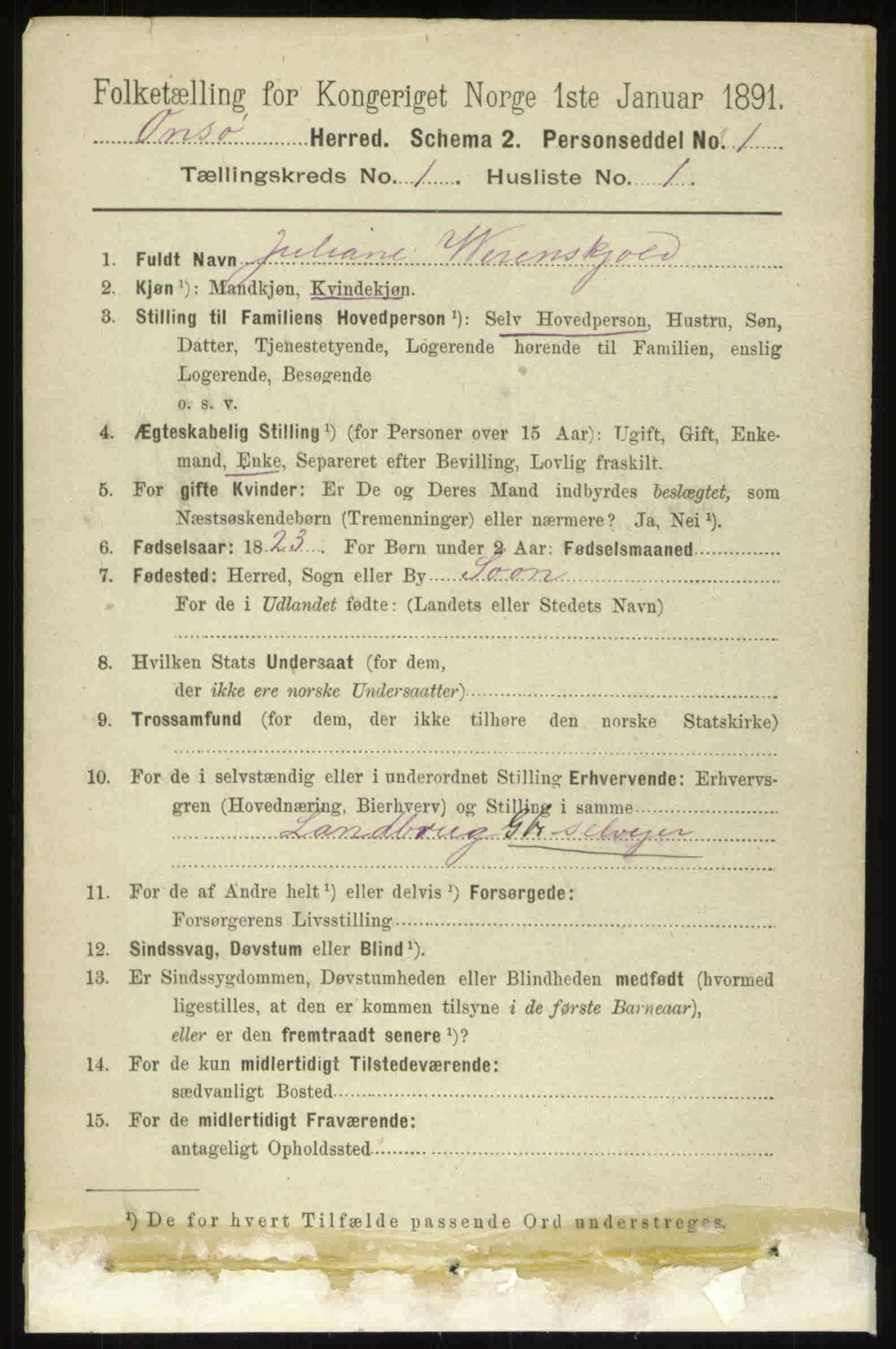 RA, 1891 census for 0134 Onsøy, 1891, p. 229