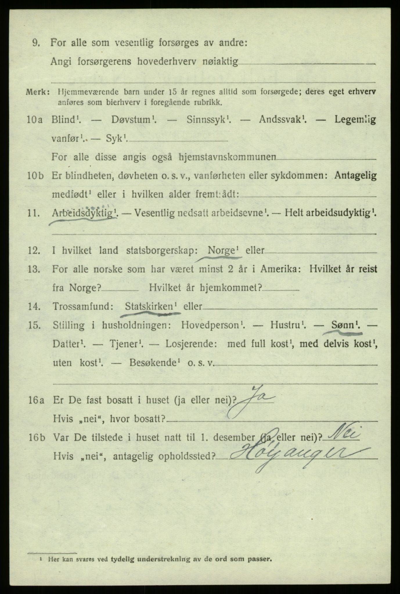 SAB, 1920 census for Hafslo, 1920, p. 6921