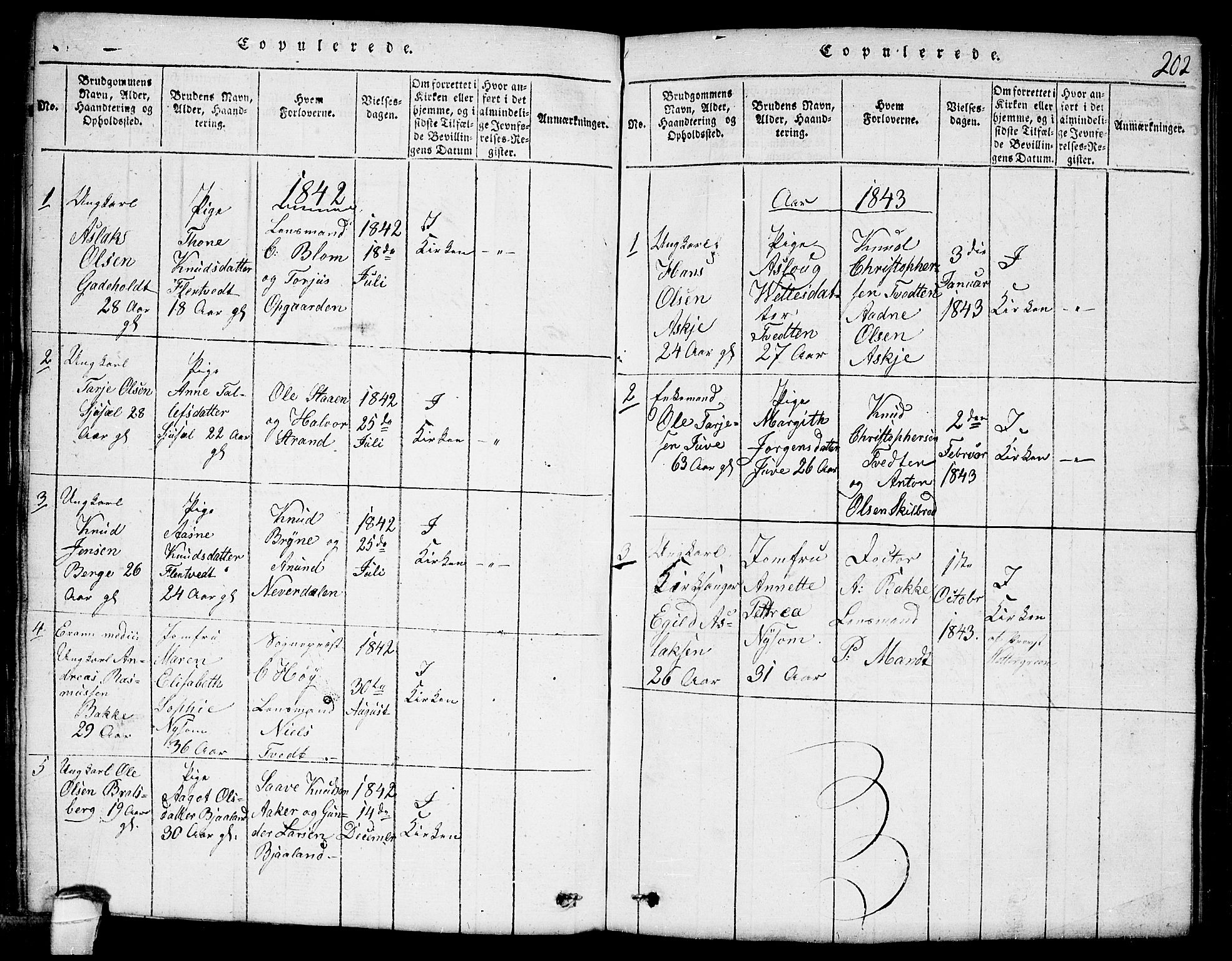 Lårdal kirkebøker, SAKO/A-284/G/Ga/L0001: Parish register (copy) no. I 1, 1815-1861, p. 202