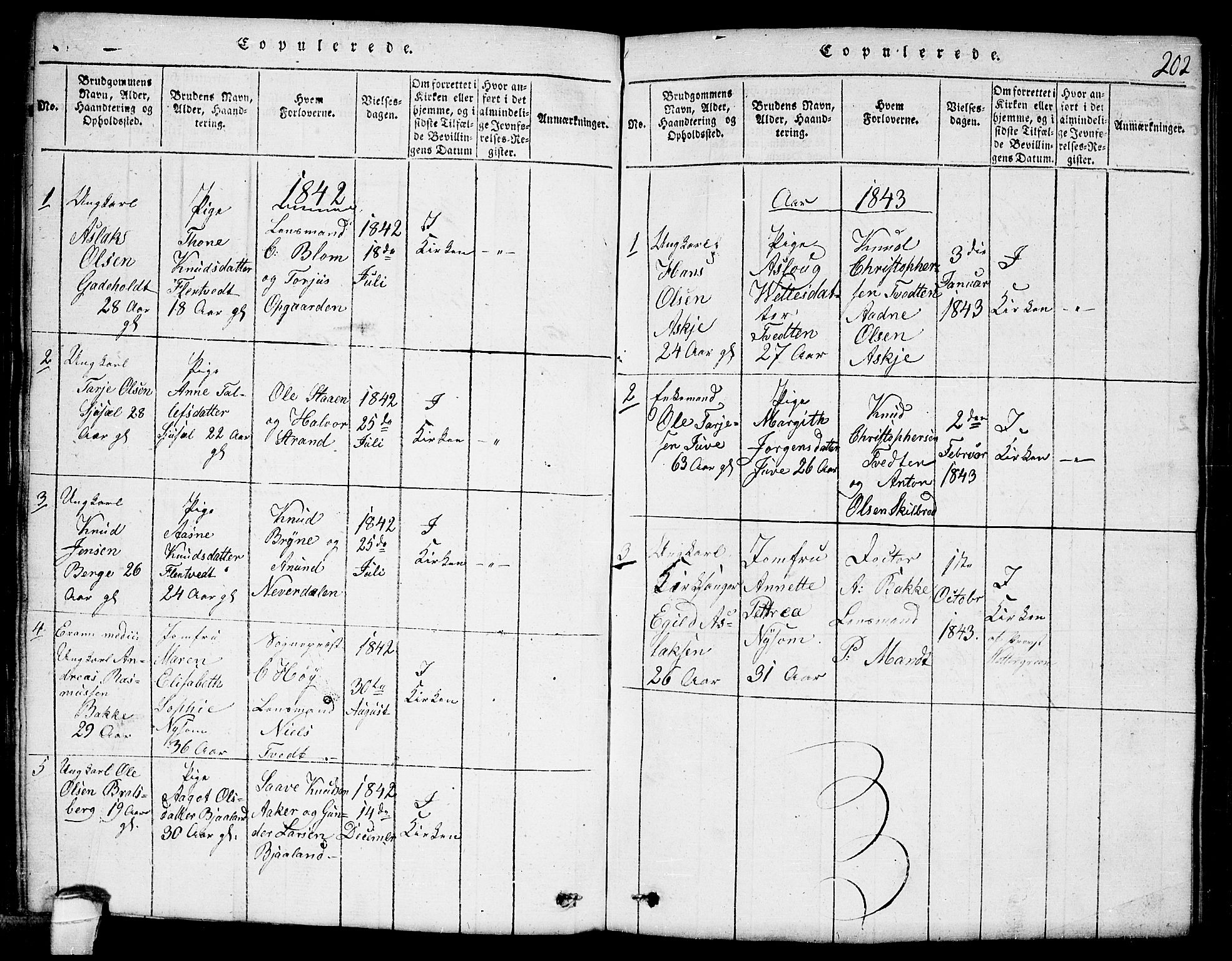 Lårdal kirkebøker, AV/SAKO-A-284/G/Ga/L0001: Parish register (copy) no. I 1, 1815-1861, p. 202