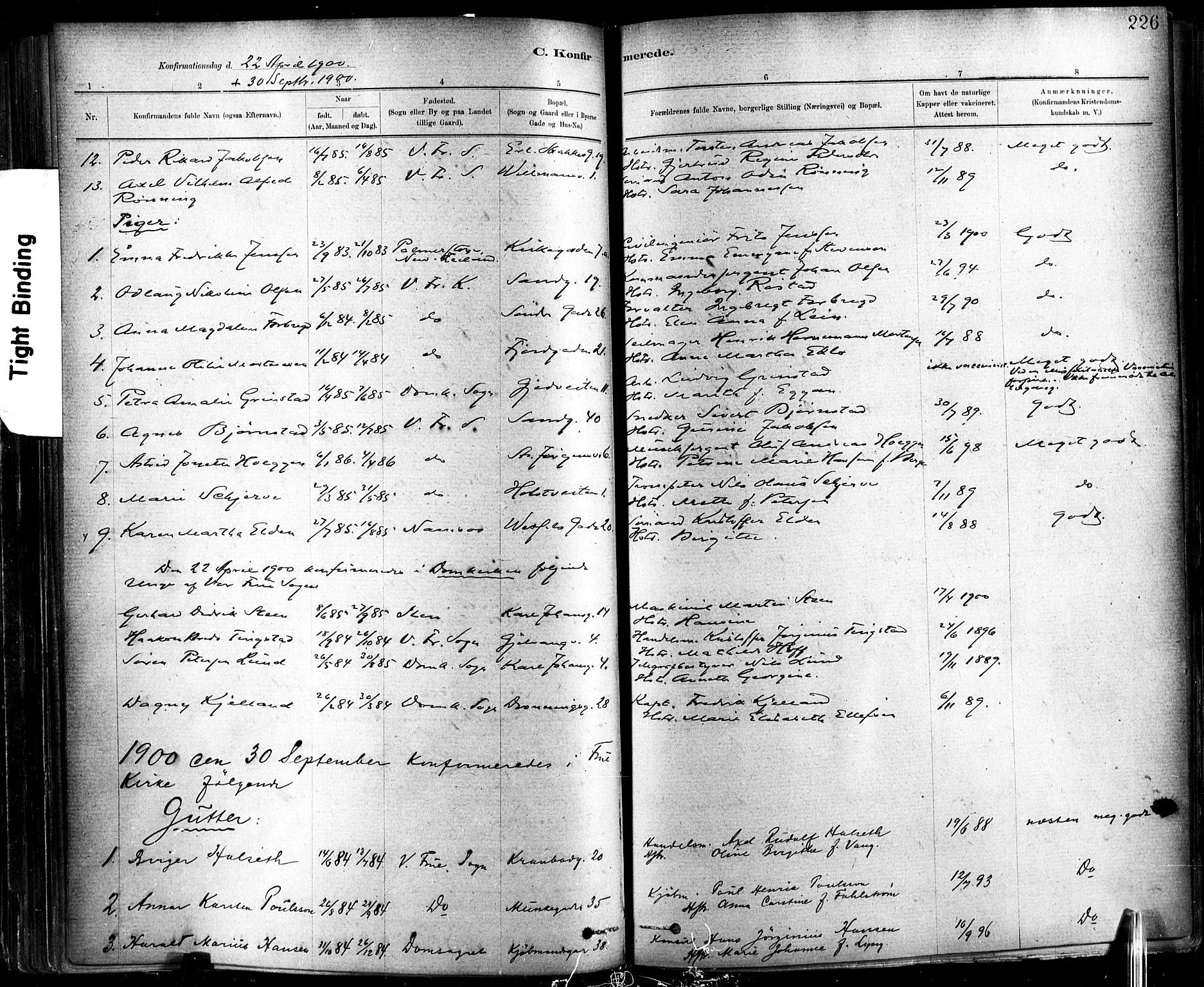 Ministerialprotokoller, klokkerbøker og fødselsregistre - Sør-Trøndelag, SAT/A-1456/602/L0119: Parish register (official) no. 602A17, 1880-1901, p. 226
