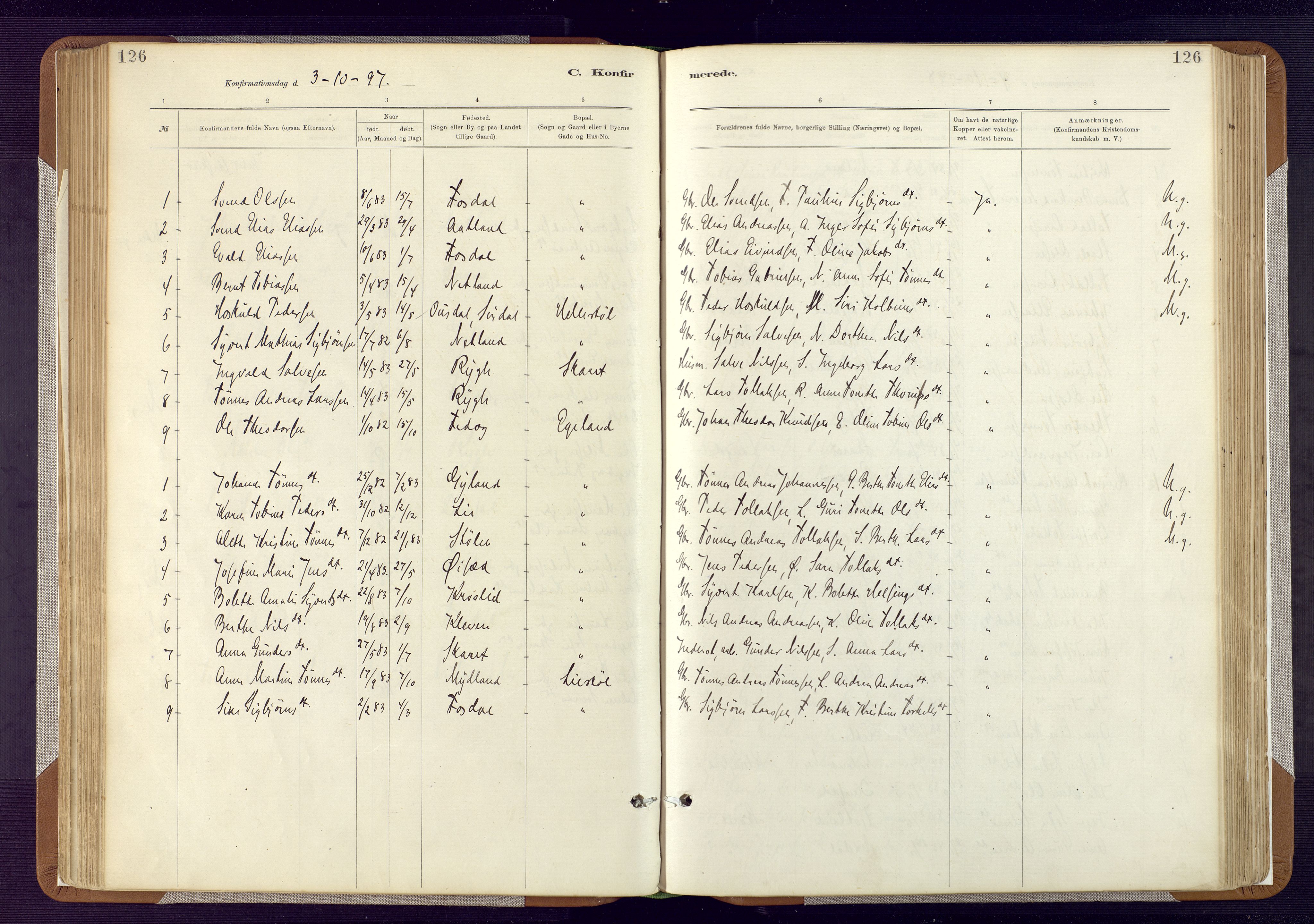 Bakke sokneprestkontor, SAK/1111-0002/F/Fa/Fab/L0003: Parish register (official) no. A 3, 1884-1921, p. 126