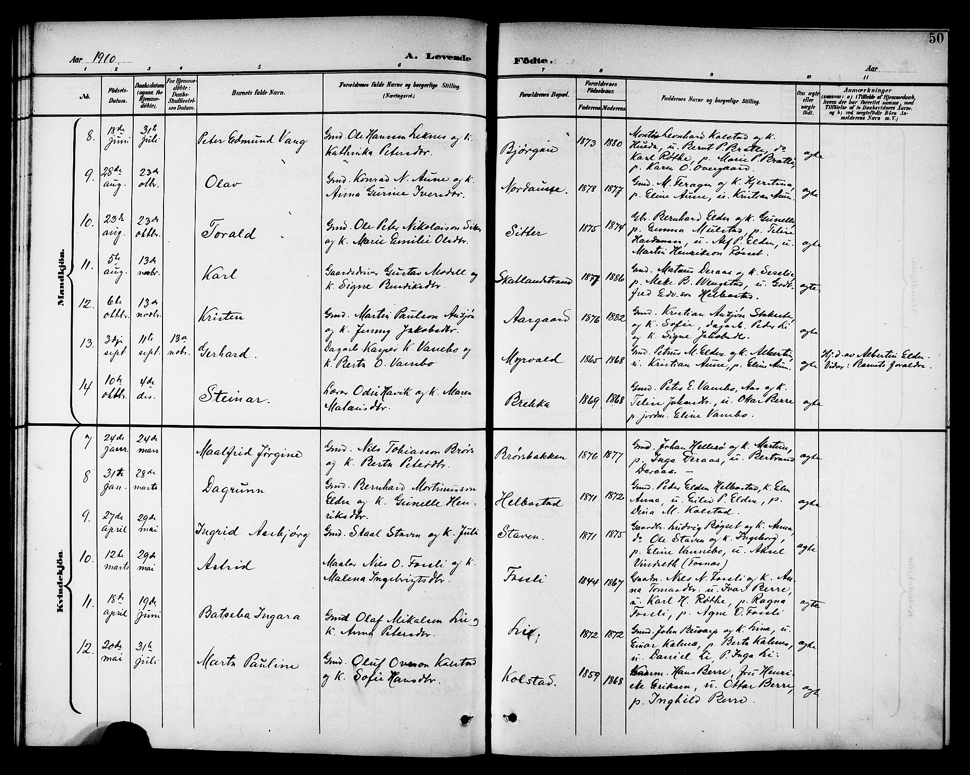 Ministerialprotokoller, klokkerbøker og fødselsregistre - Nord-Trøndelag, AV/SAT-A-1458/742/L0412: Parish register (copy) no. 742C03, 1898-1910, p. 50