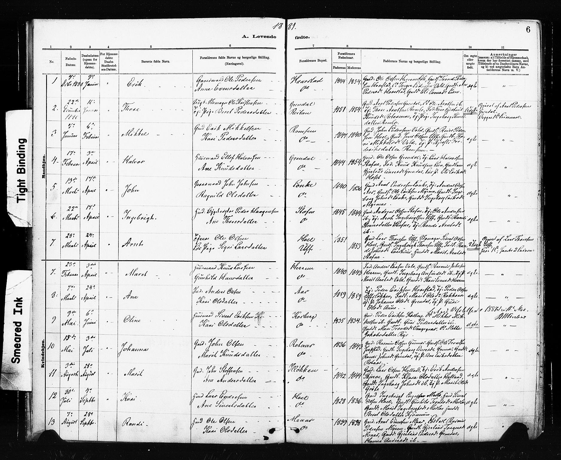 Ministerialprotokoller, klokkerbøker og fødselsregistre - Sør-Trøndelag, SAT/A-1456/674/L0871: Parish register (official) no. 674A03, 1880-1896, p. 6