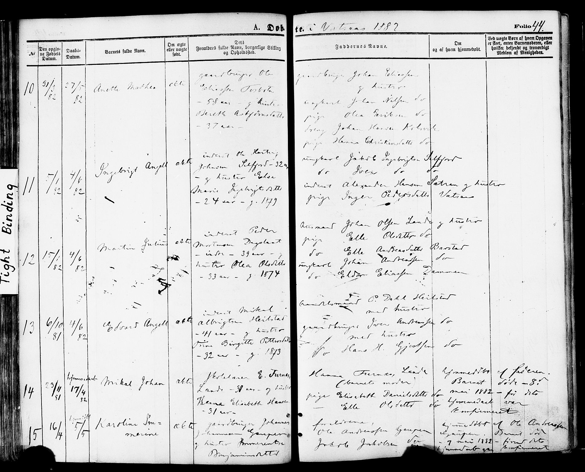 Ministerialprotokoller, klokkerbøker og fødselsregistre - Nordland, AV/SAT-A-1459/810/L0148: Parish register (official) no. 810A09 /1, 1874-1884, p. 44