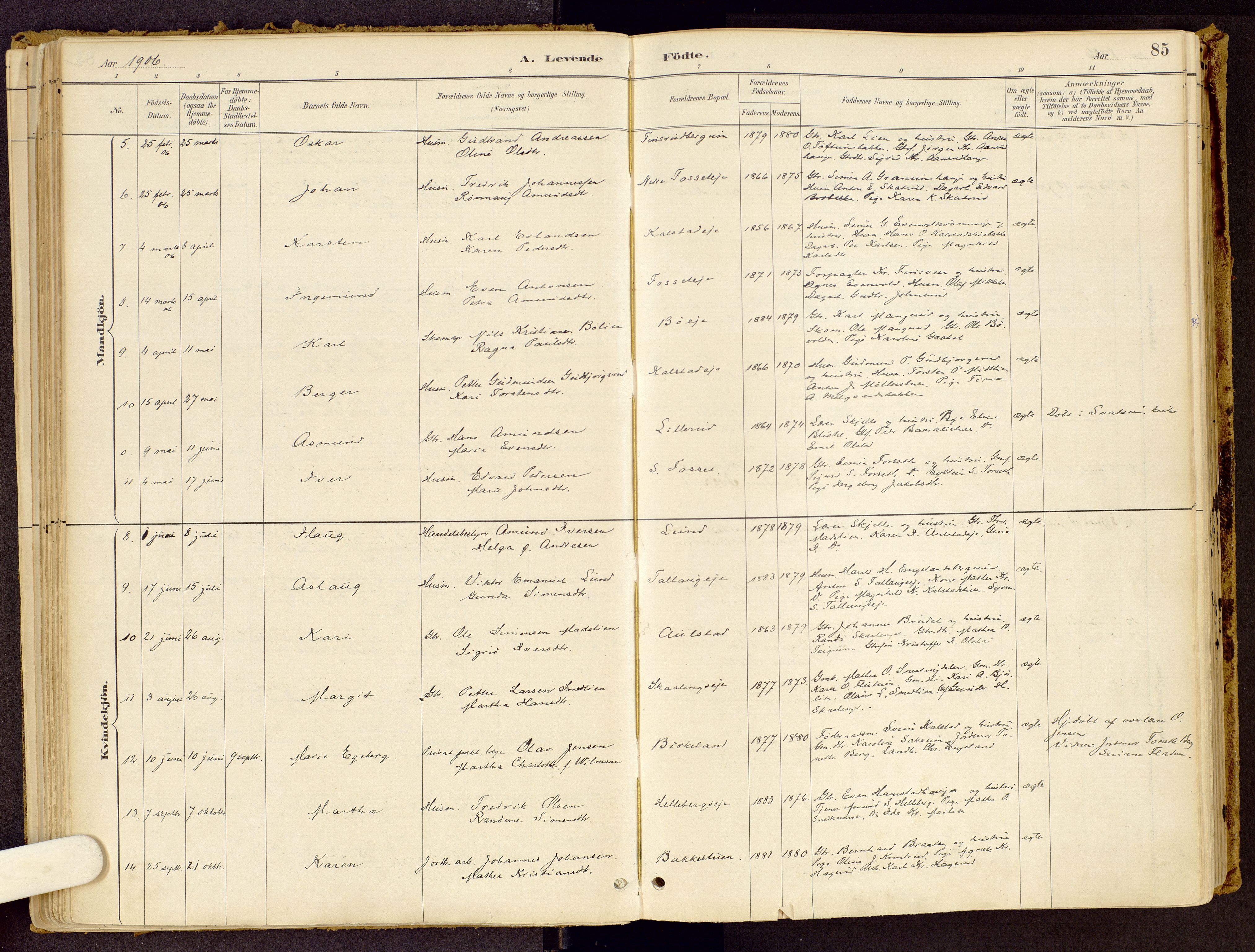 Vestre Gausdal prestekontor, SAH/PREST-094/H/Ha/Haa/L0001: Parish register (official) no. 1, 1887-1914, p. 85