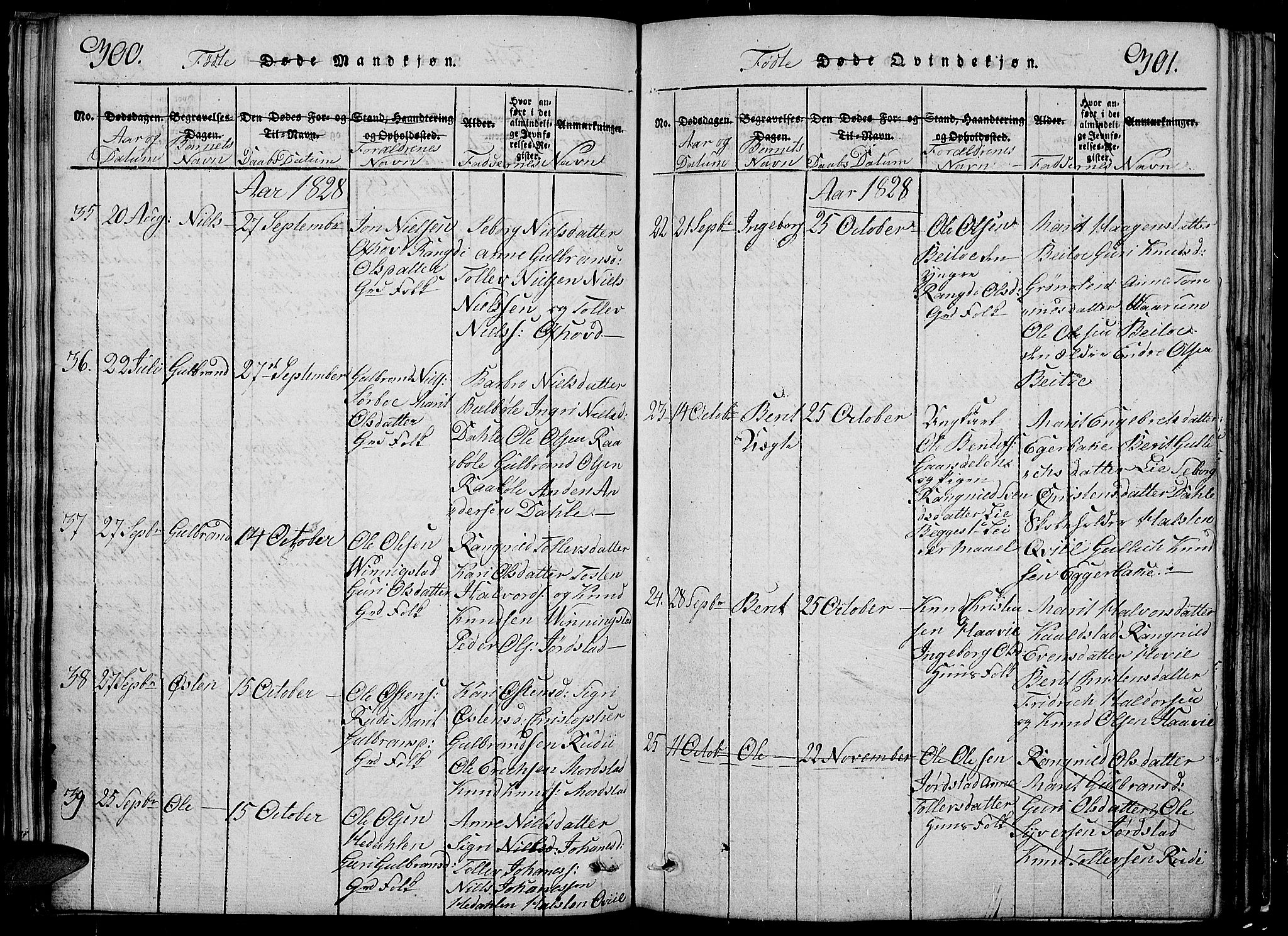 Slidre prestekontor, SAH/PREST-134/H/Ha/Hab/L0002: Parish register (copy) no. 2, 1814-1839, p. 300-301