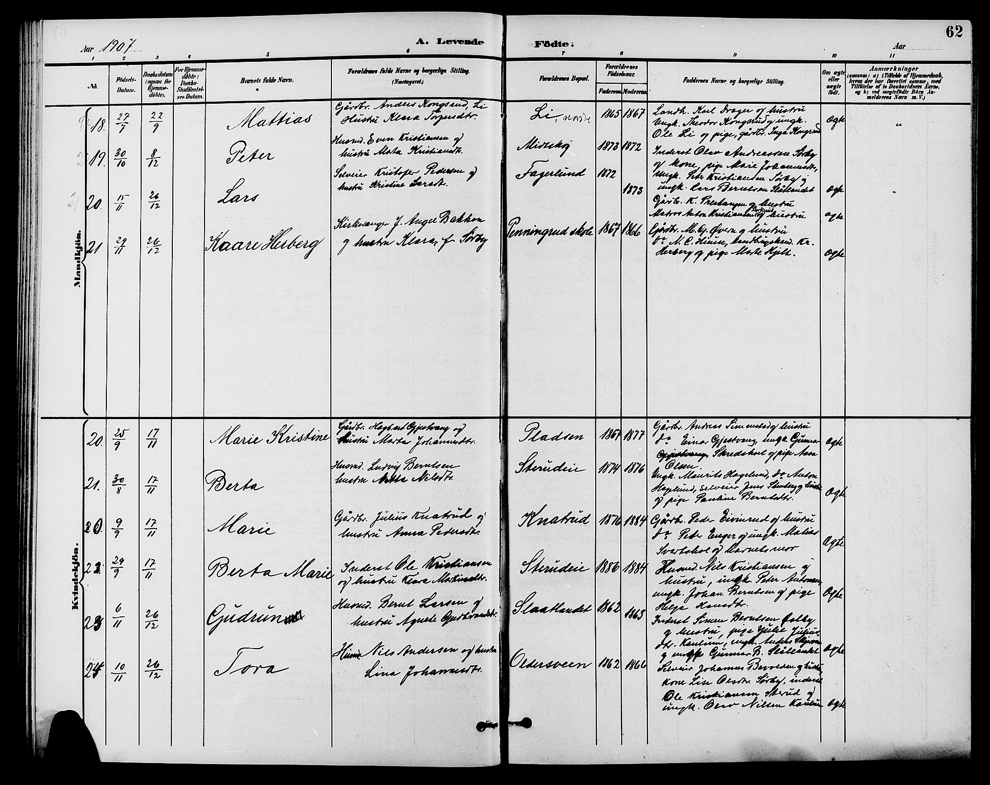 Nes prestekontor, Hedmark, AV/SAH-PREST-020/L/La/L0007: Parish register (copy) no. 7, 1892-1912, p. 62