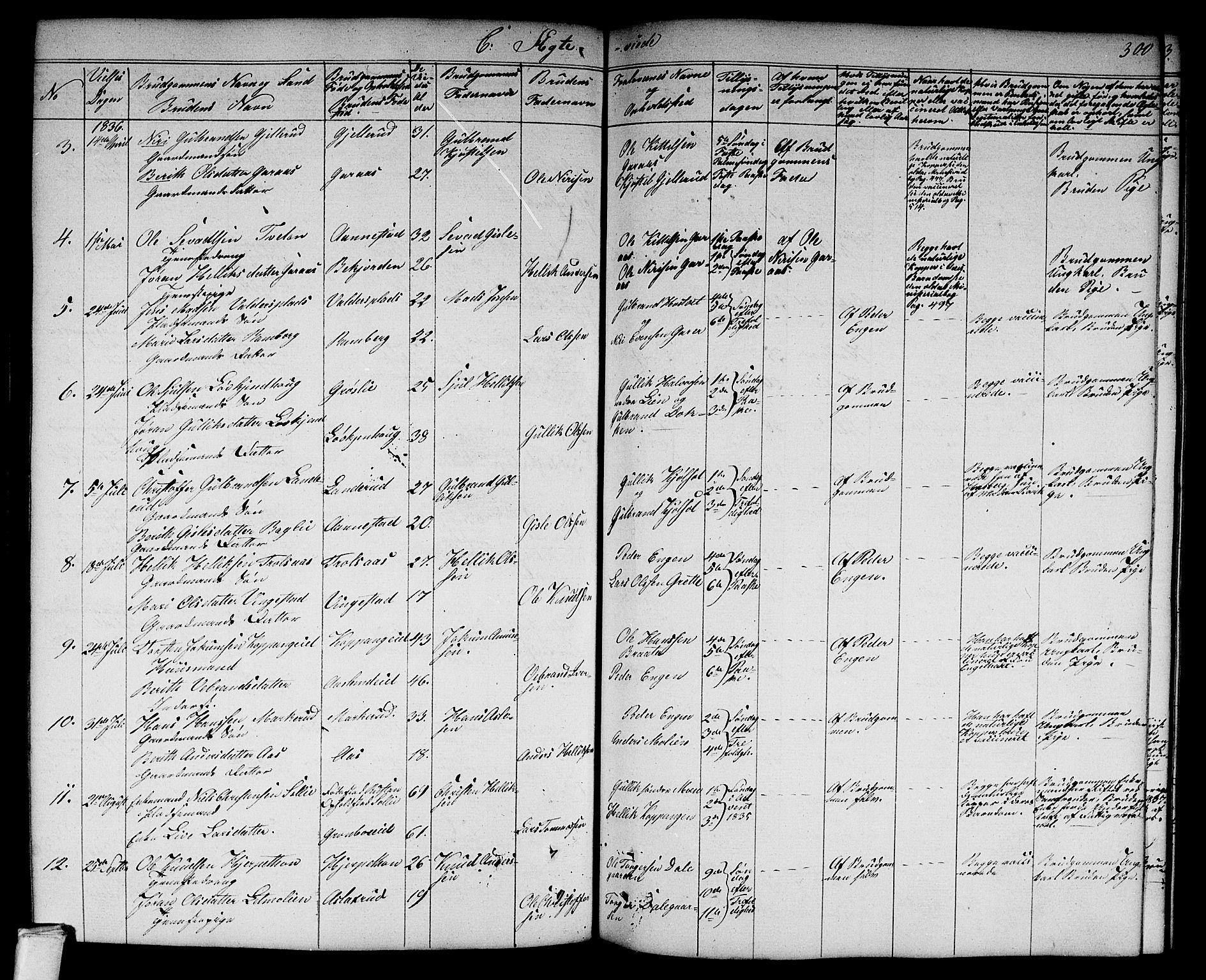 Flesberg kirkebøker, AV/SAKO-A-18/G/Ga/L0002: Parish register (copy) no. I 2, 1834-1860, p. 300